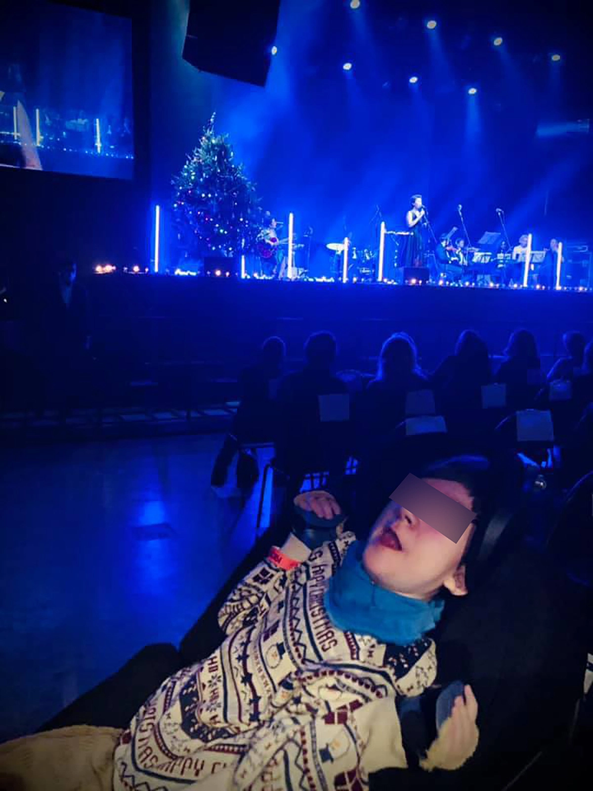 Коля на концерте