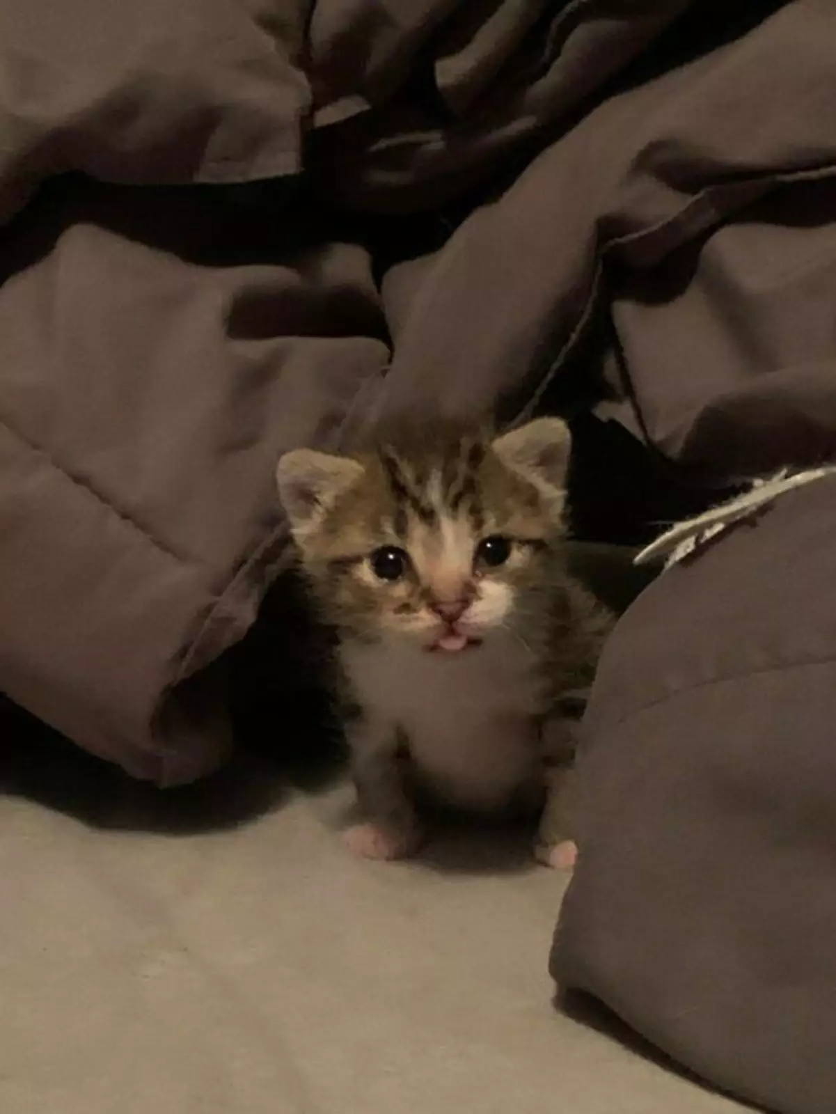 Как устоять перед этим мальчиком. 