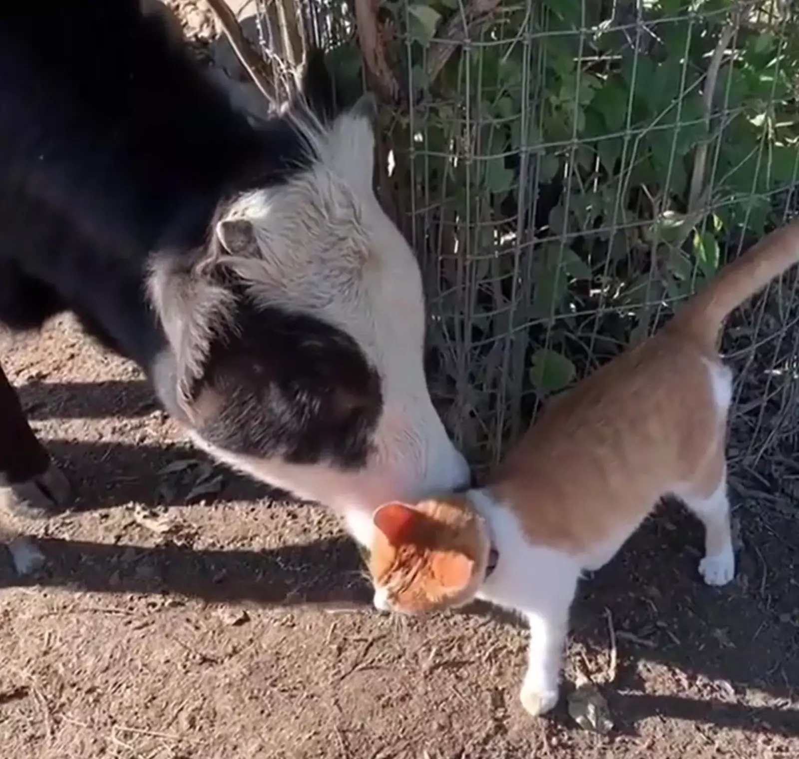 Друзья много времени проводят вместе. Друзья много времени проводят вместе.