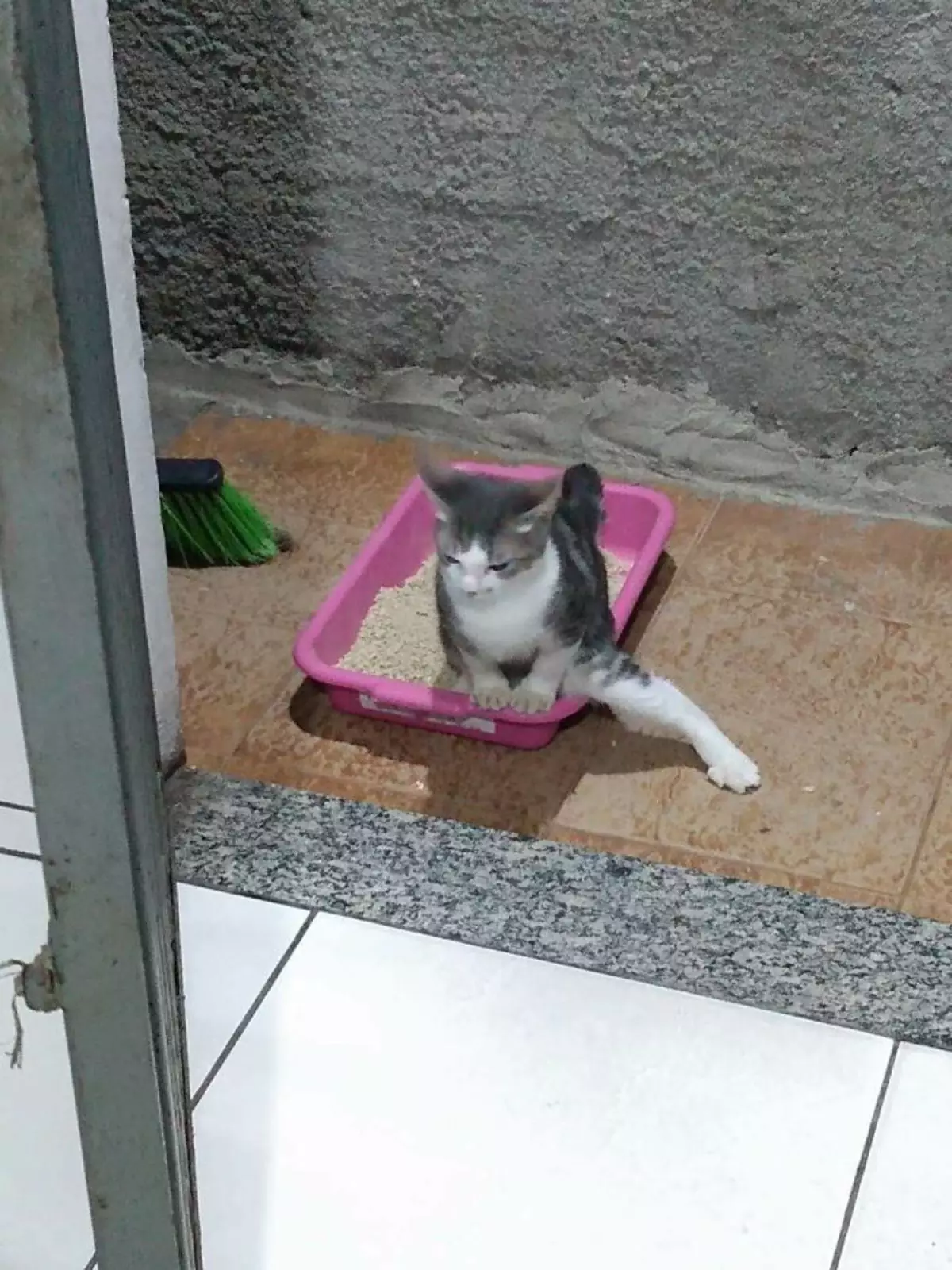 Да что вы знаете о грации. Да что вы знаете о грации.