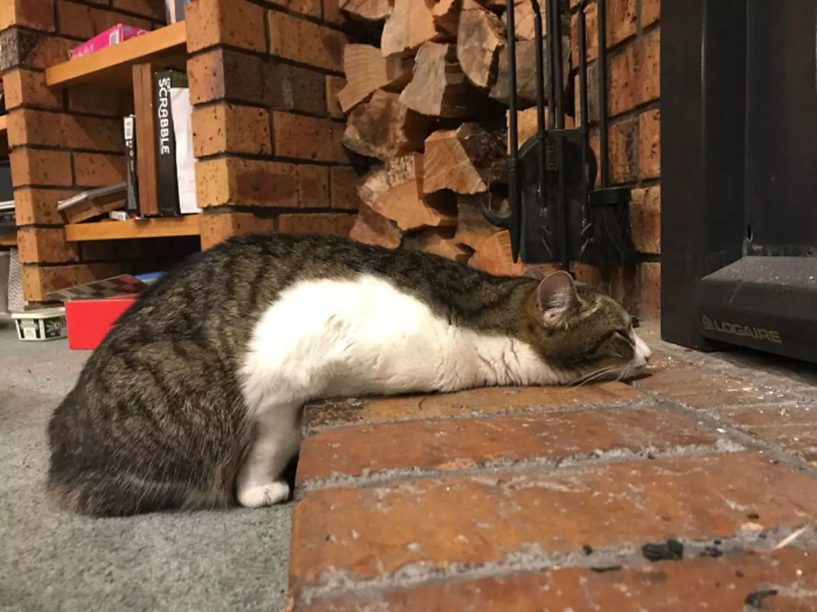 Немного растаял от тепла. Немного растаял от тепла.