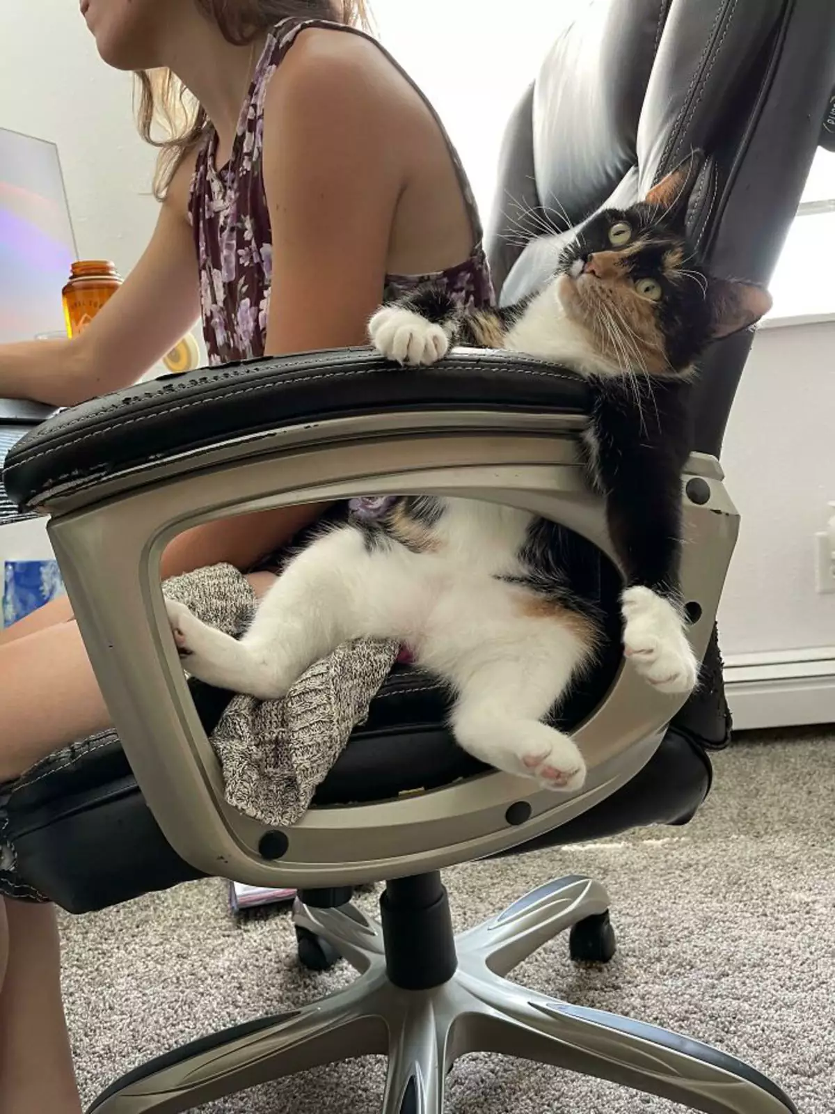 Понедельники и котам тяжело даются. Понедельники и котам тяжело даются.