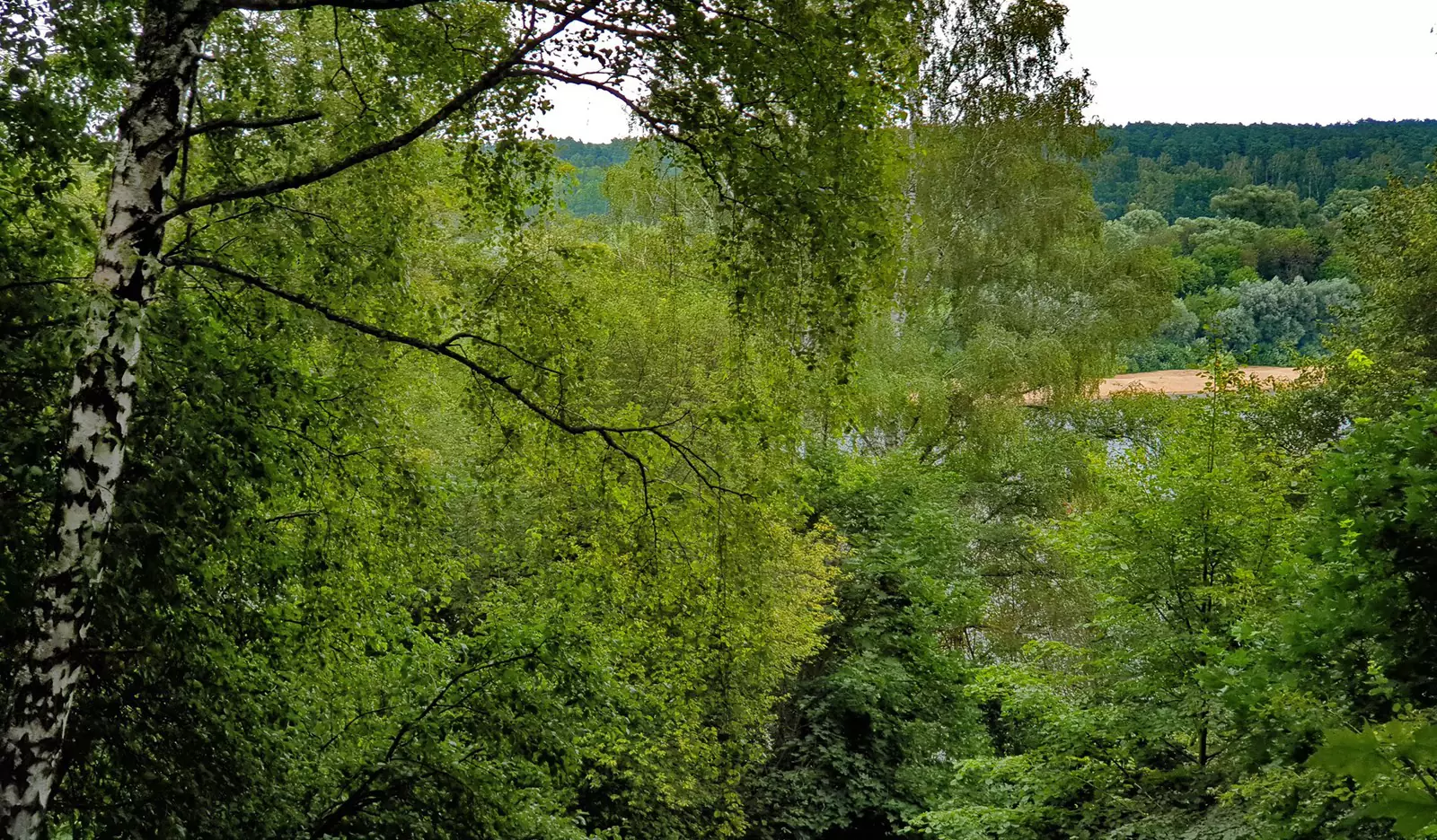 Вид с косогора Вид с косогора