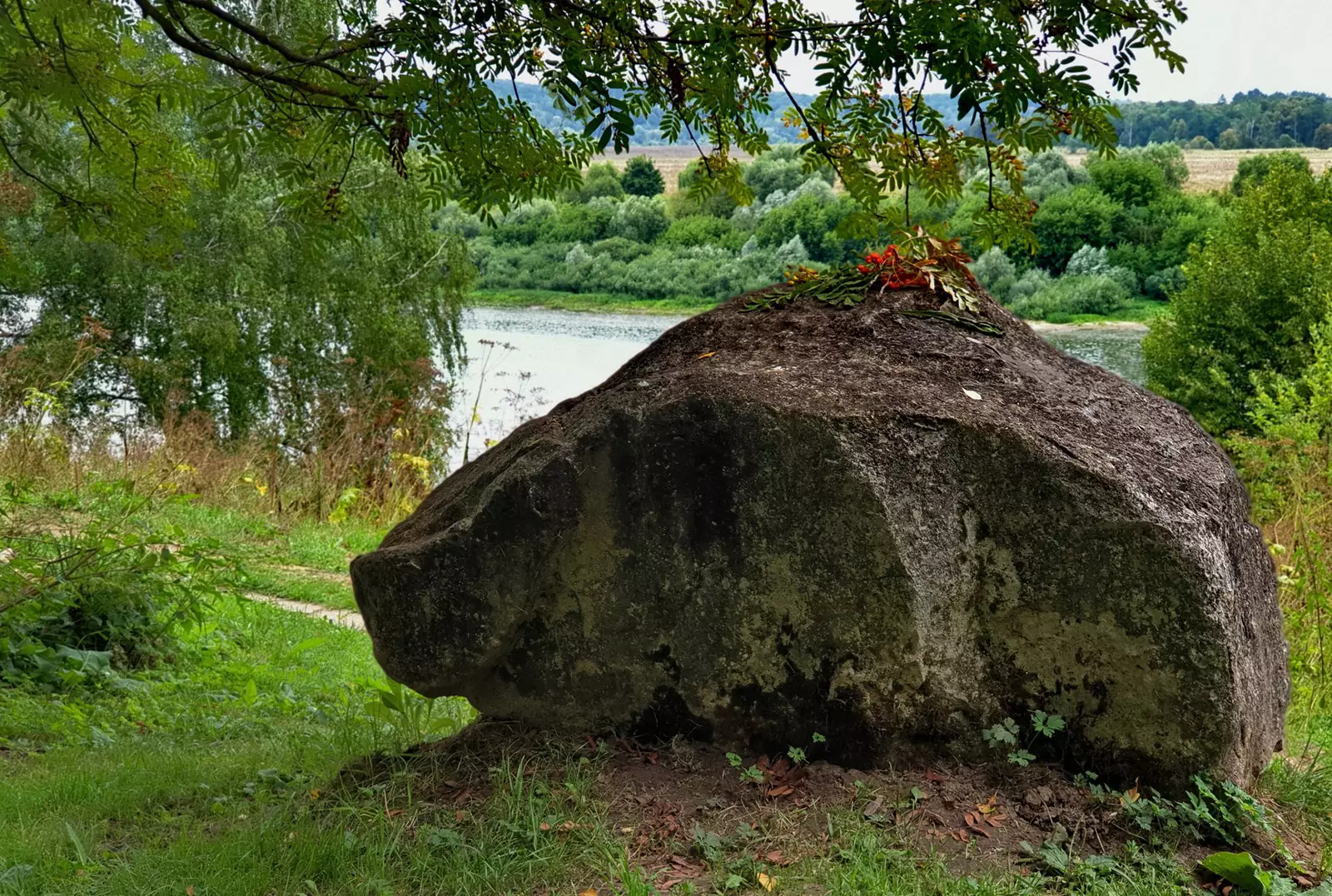У него нужно загадывать желания У него нужно загадывать желания