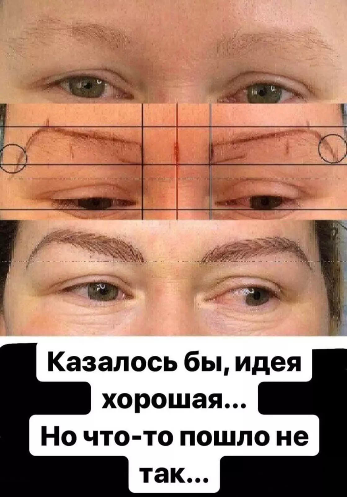 Задумка провалилась. Задумка провалилась.