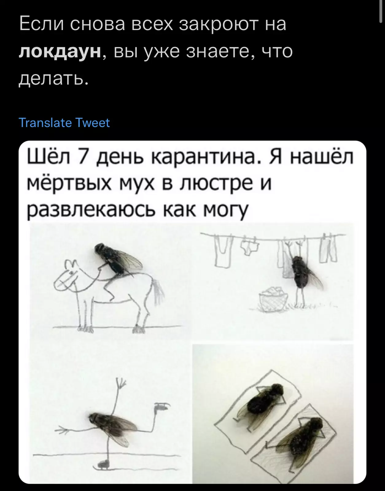 Настроение: играем в ковидные игры. Настроение: играем в ковидные игры.