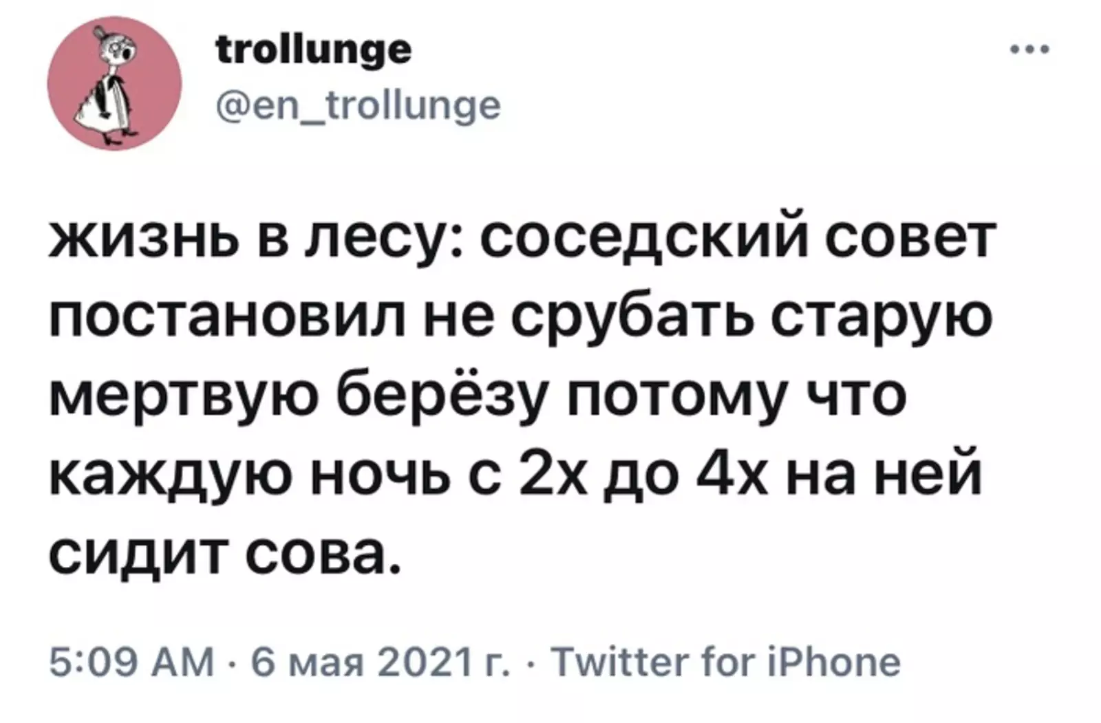 Тот момент, когда даже в лесу ни соседи, ни сова не дают спокойно жить. Тот момент, когда даже в лесу ни соседи, ни сова не дают спокойно жить.