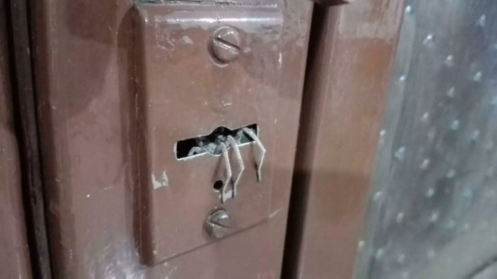 Поехал запирать заднюю дверь. Увидел гостя. Поехал запирать заднюю дверь. Увидел гостя.