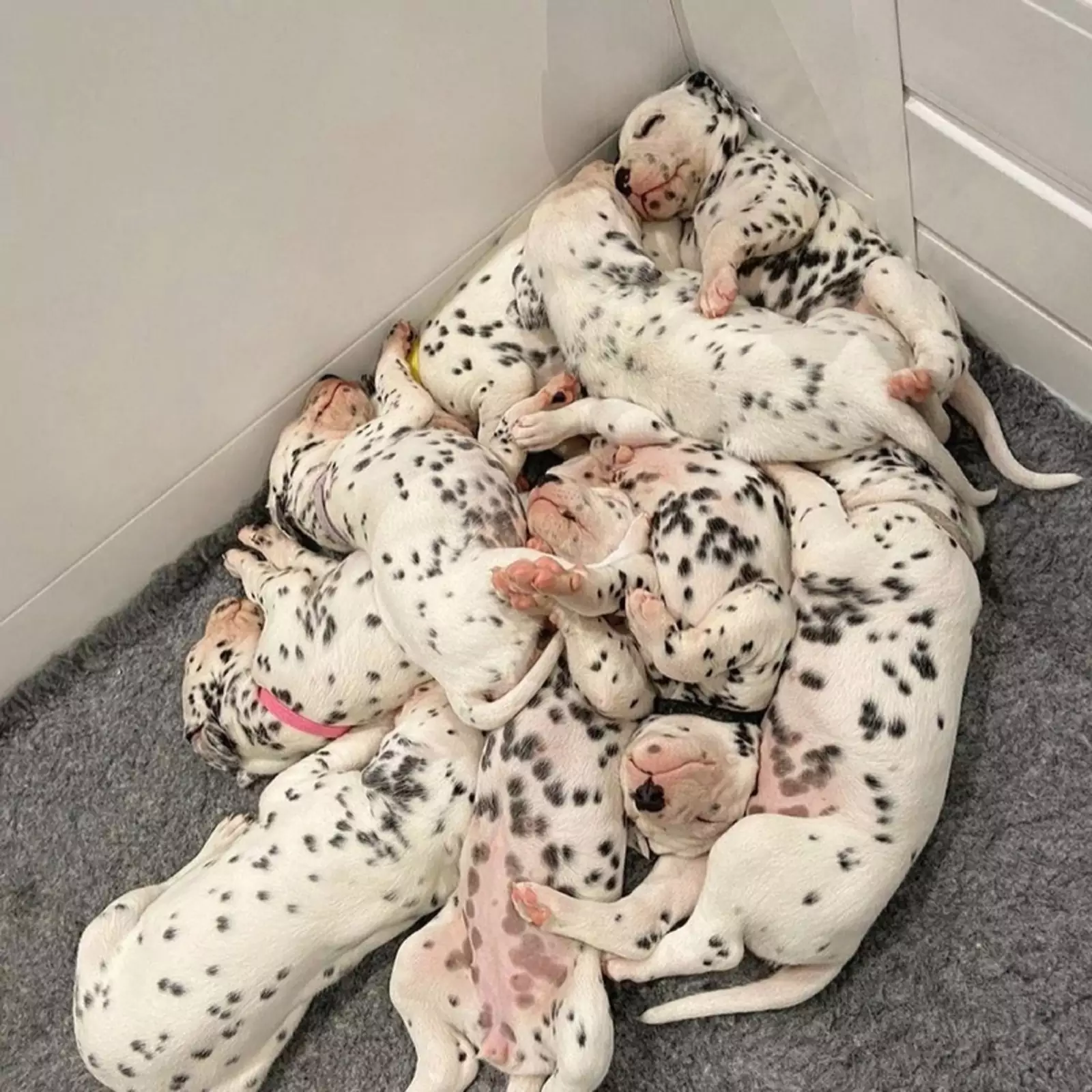 Был тяжелый день. Был тяжелый день.