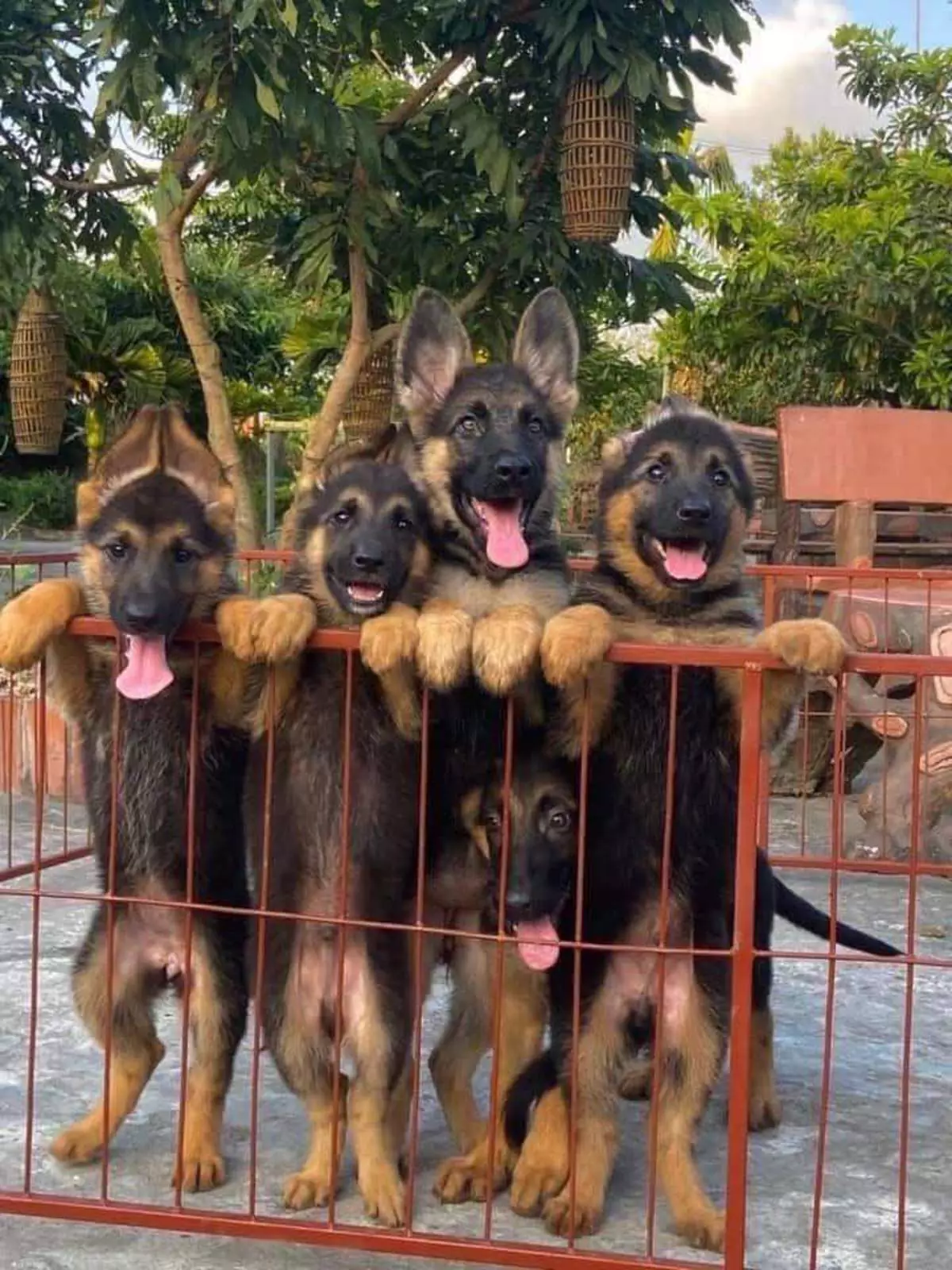 Увидели что-то очень интересное. Увидели что-то очень интересное.