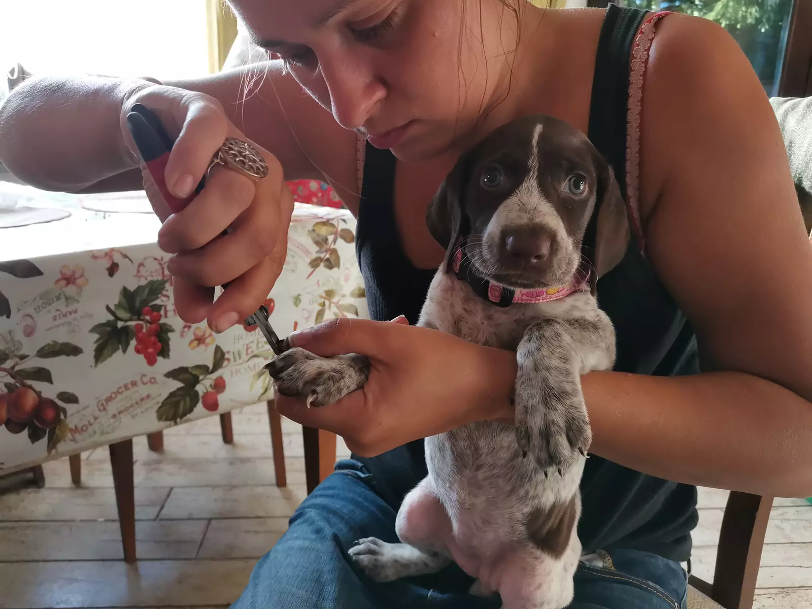 «Только не это». «Только не это».