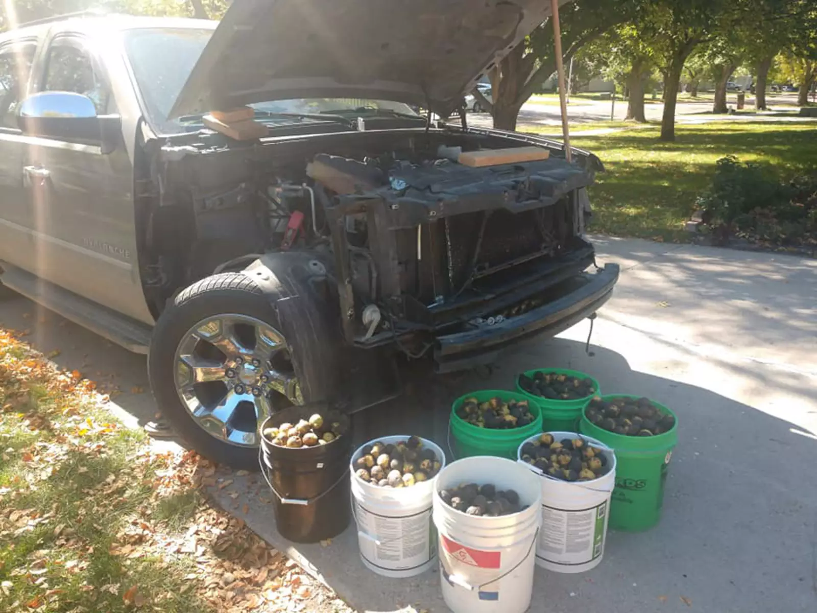 Внутри грузовика Chevrolet Avalanche было около 70 килограммов орехов. Внутри грузовика Chevrolet Avalanche было около 70 килограммов орехов.