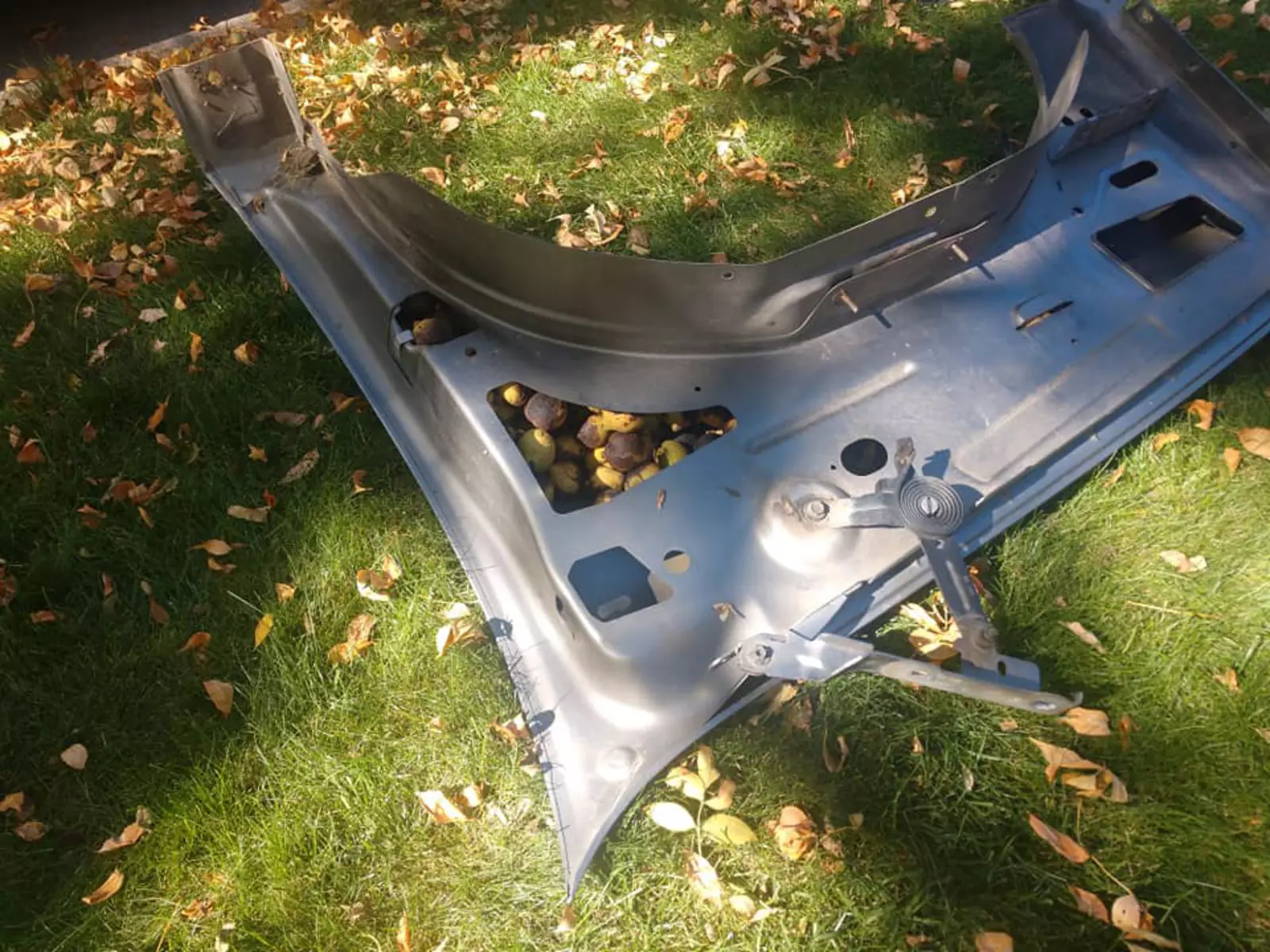 Чачсть орехов Билл так и не смог достать. Чачсть орехов Билл так и не смог достать.