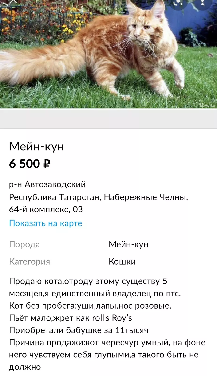 Большой ум — большие беды. Большой ум — большие беды.