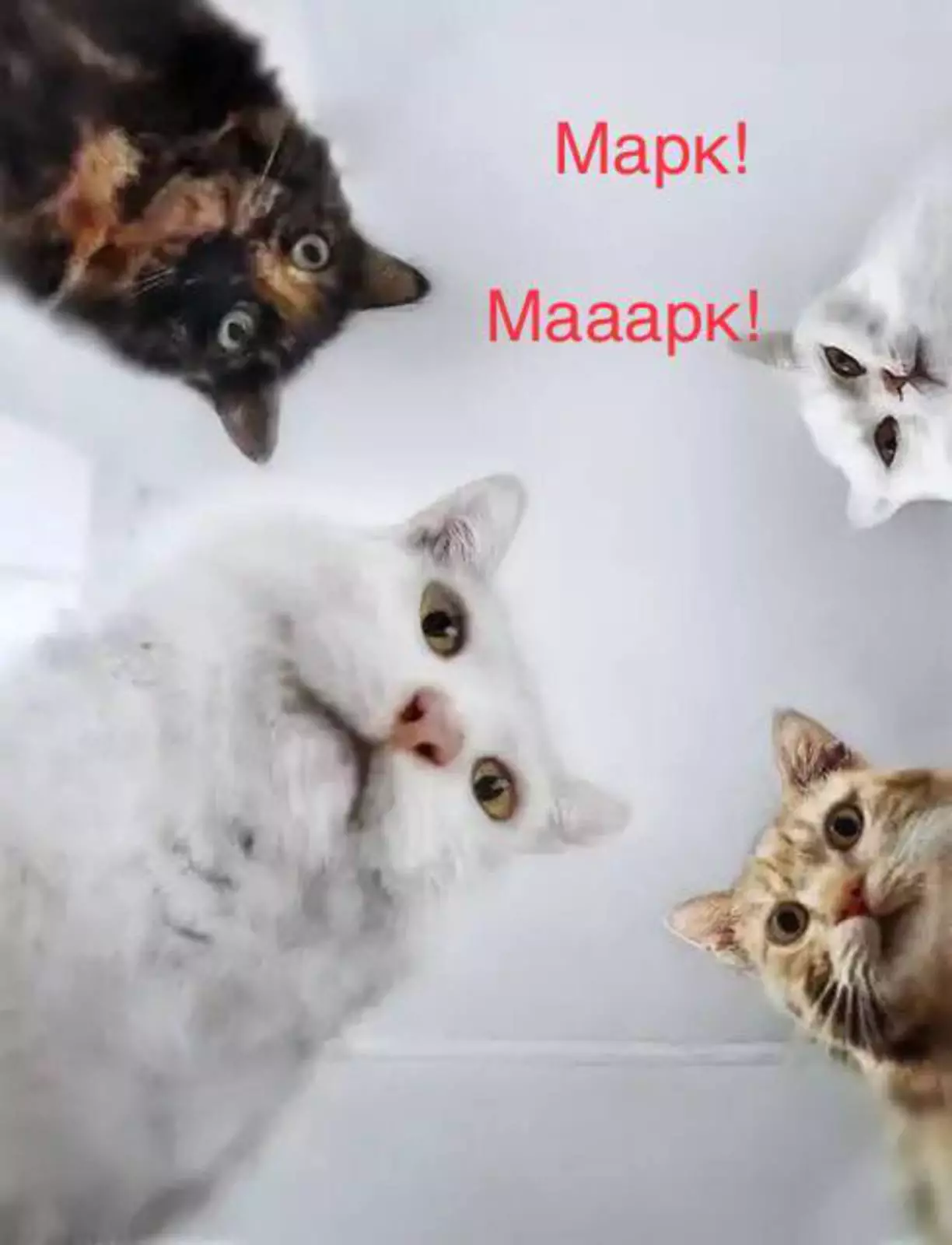 Похоже, что Цукерберг сейчас икает, не переставая. Похоже, что Цукерберг сейчас икает, не переставая.