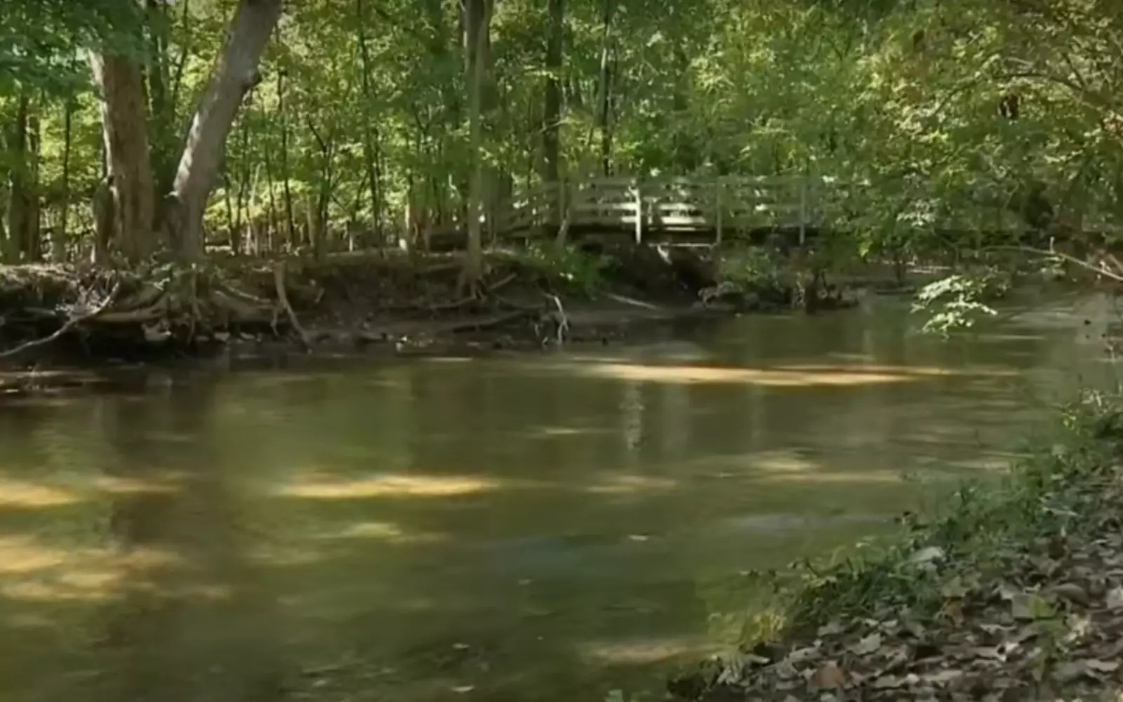 Джулиан Ганьон гулял со своей семьей в природном заповеднике «Динозавр-Хилл» в шате Мичиган. Джулиан Ганьон гулял со своей семьей в природном заповеднике «Динозавр-Хилл» в шате Мичиган.