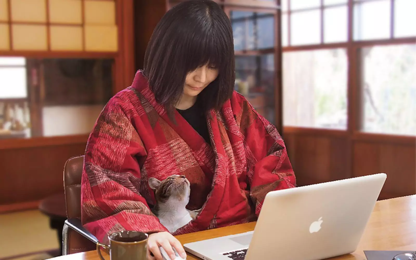 У человека появится возможность прижать к себе котейку, но при этом его руки будут свободны: просто идеально для тех, кто работает на удаленке. У человека появится возможность прижать к себе котейку, но при этом его руки будут свободны: просто идеально для тех, кто работает на удаленке.