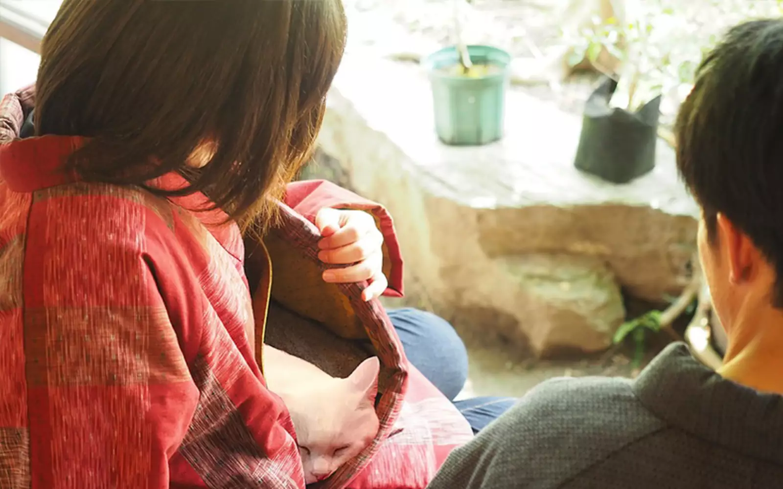 Дизайнеры отмечают, что карман пальто похож на туннель, по которому кот может проползти. Дизайнеры отмечают, что карман пальто похож на туннель, по которому кот может проползти.