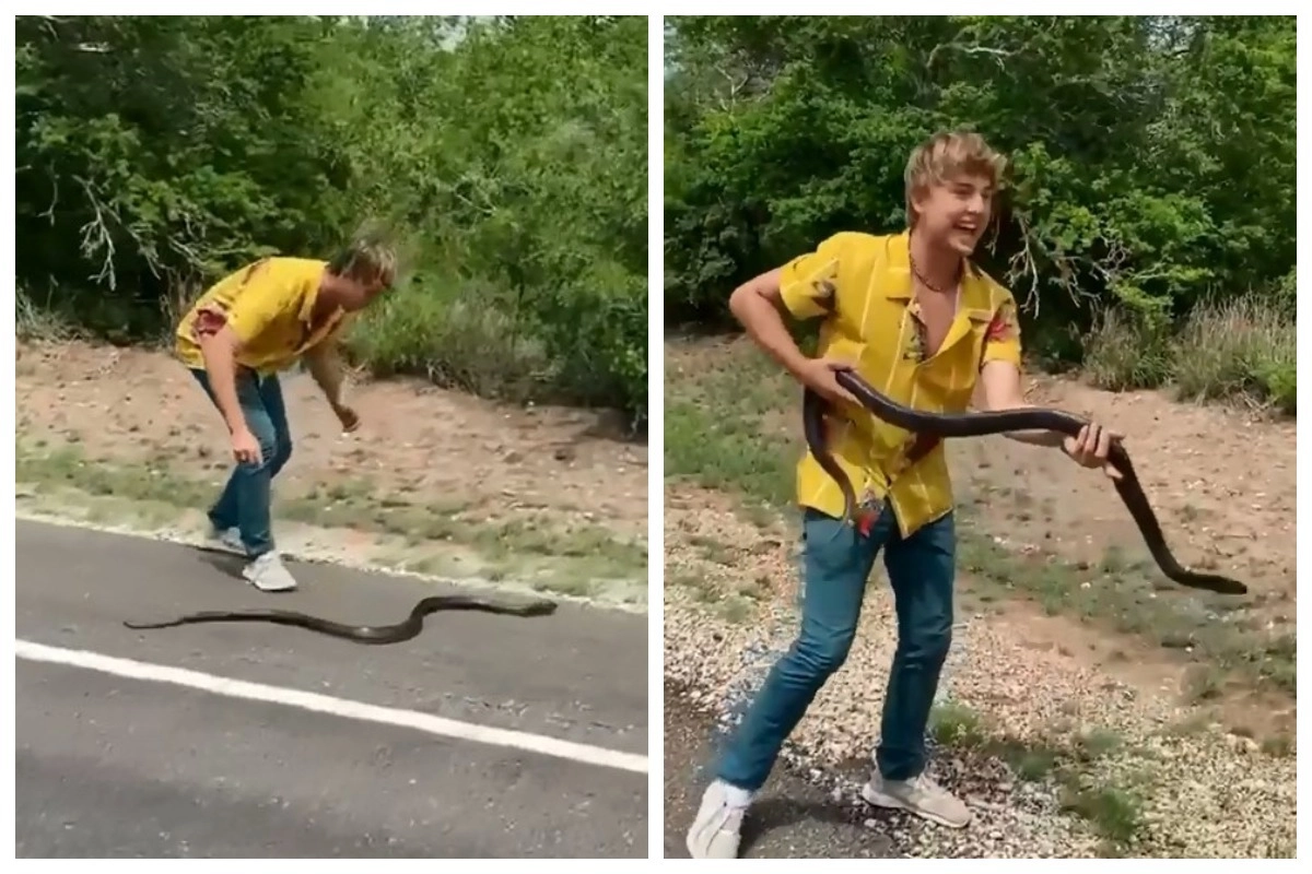 Как стать змеем