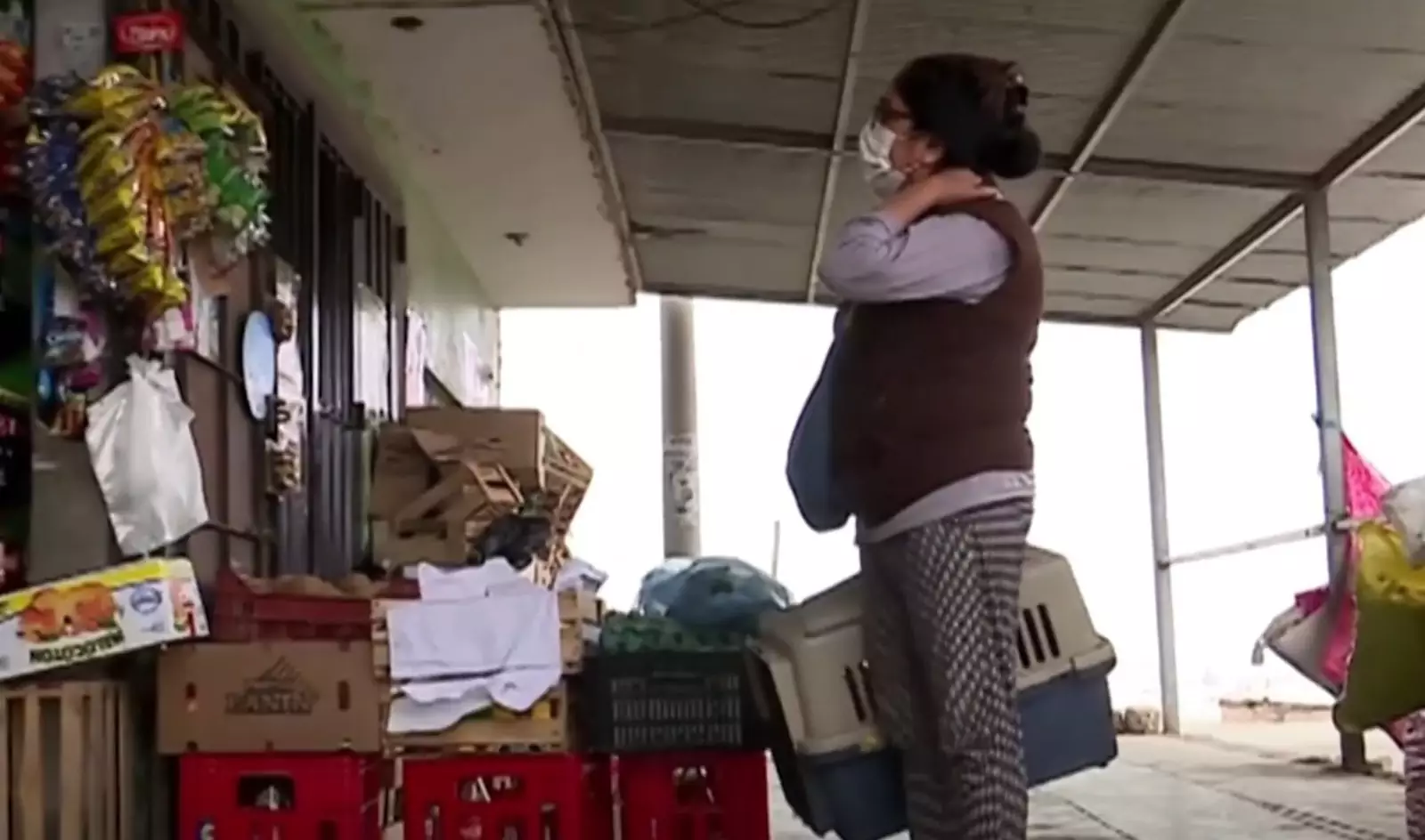 Марибель Сотело и ее сын купили «песика» в небольшом магазине в центре города.