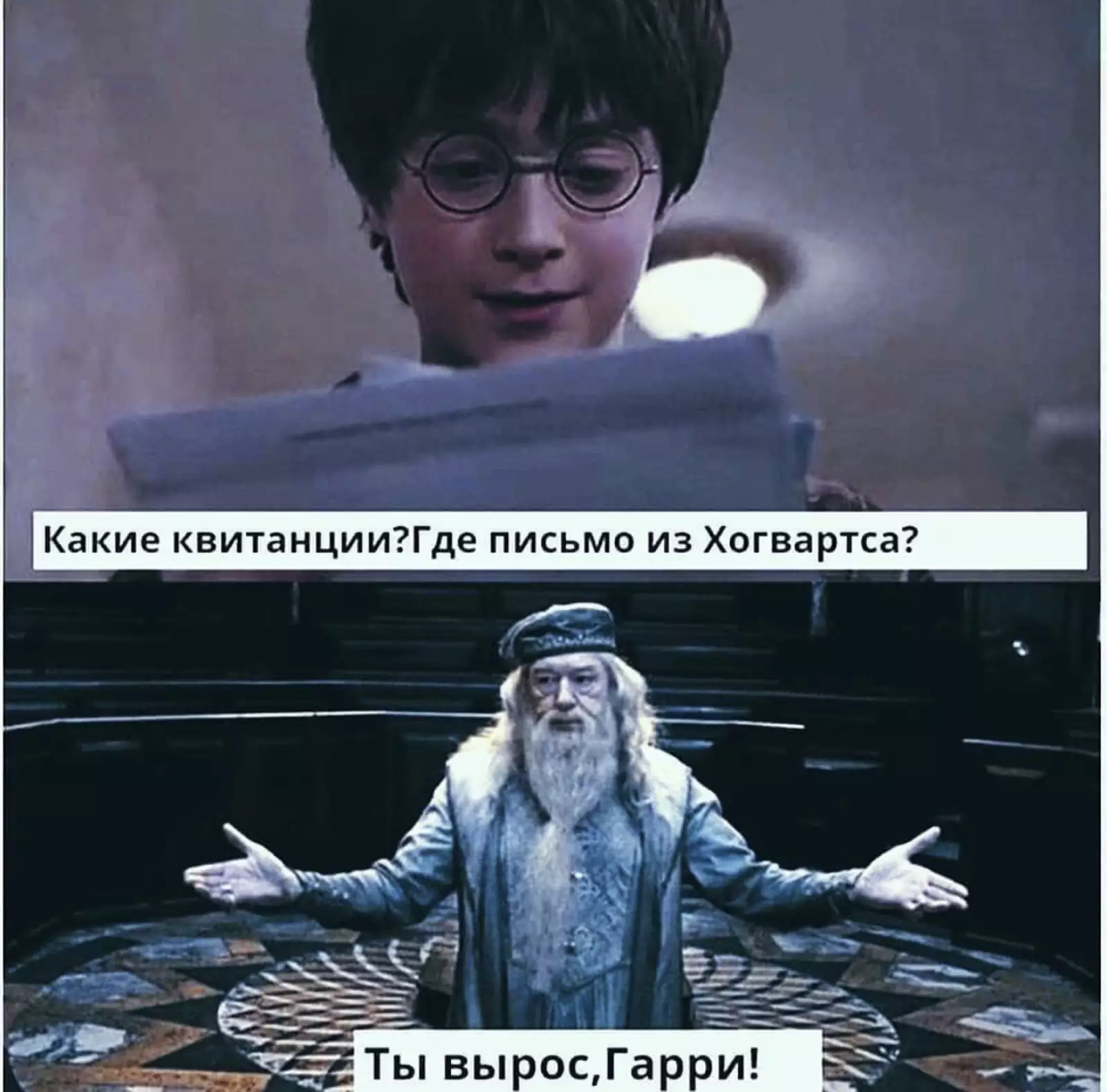 Когда тебе уже давно не 25, а ты все еще ждешь свое письмо из Хогвартса?