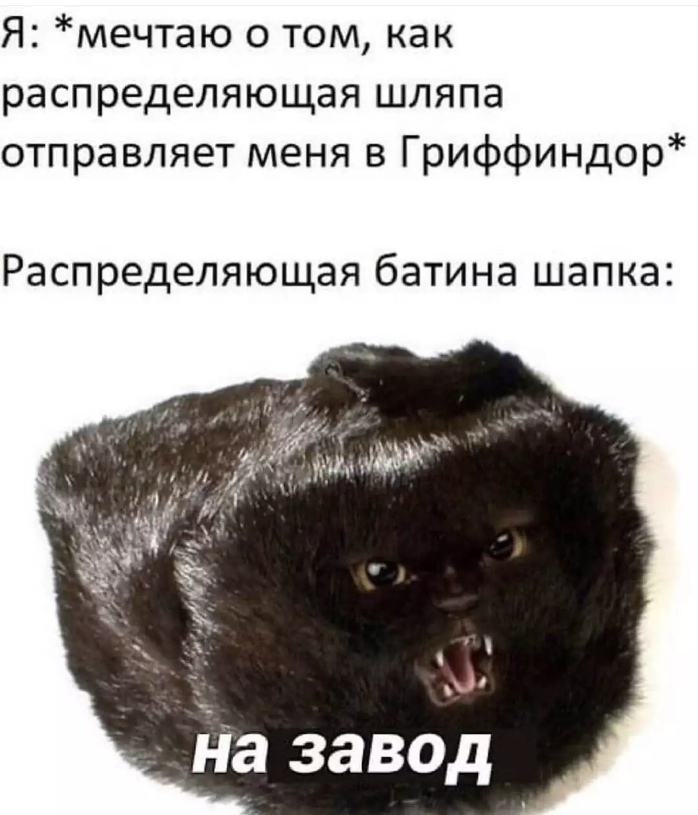 Только не в Слизерин, только не в Слизерин!