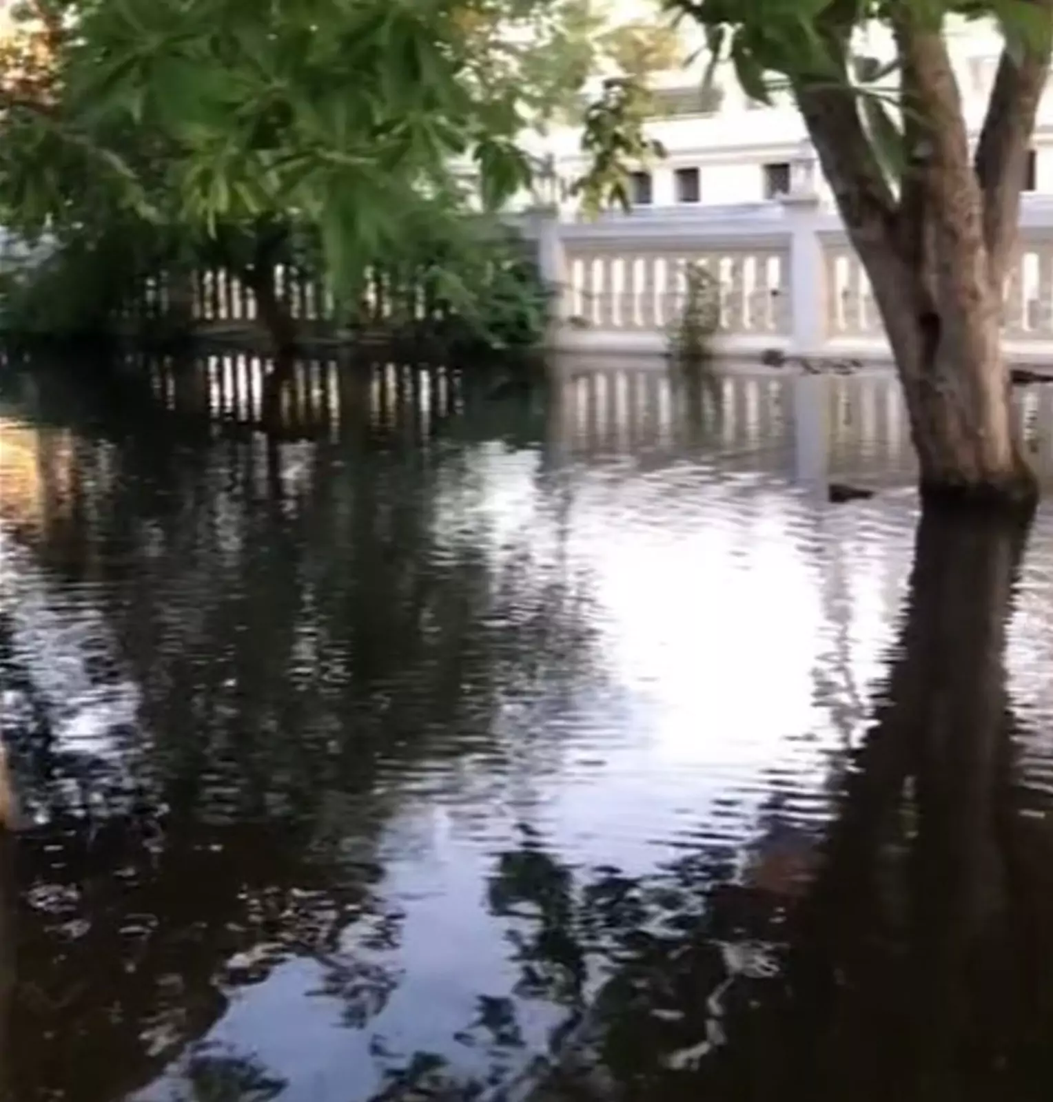 Из-за проливных дождей многие районы Таиланда оказались под водой.