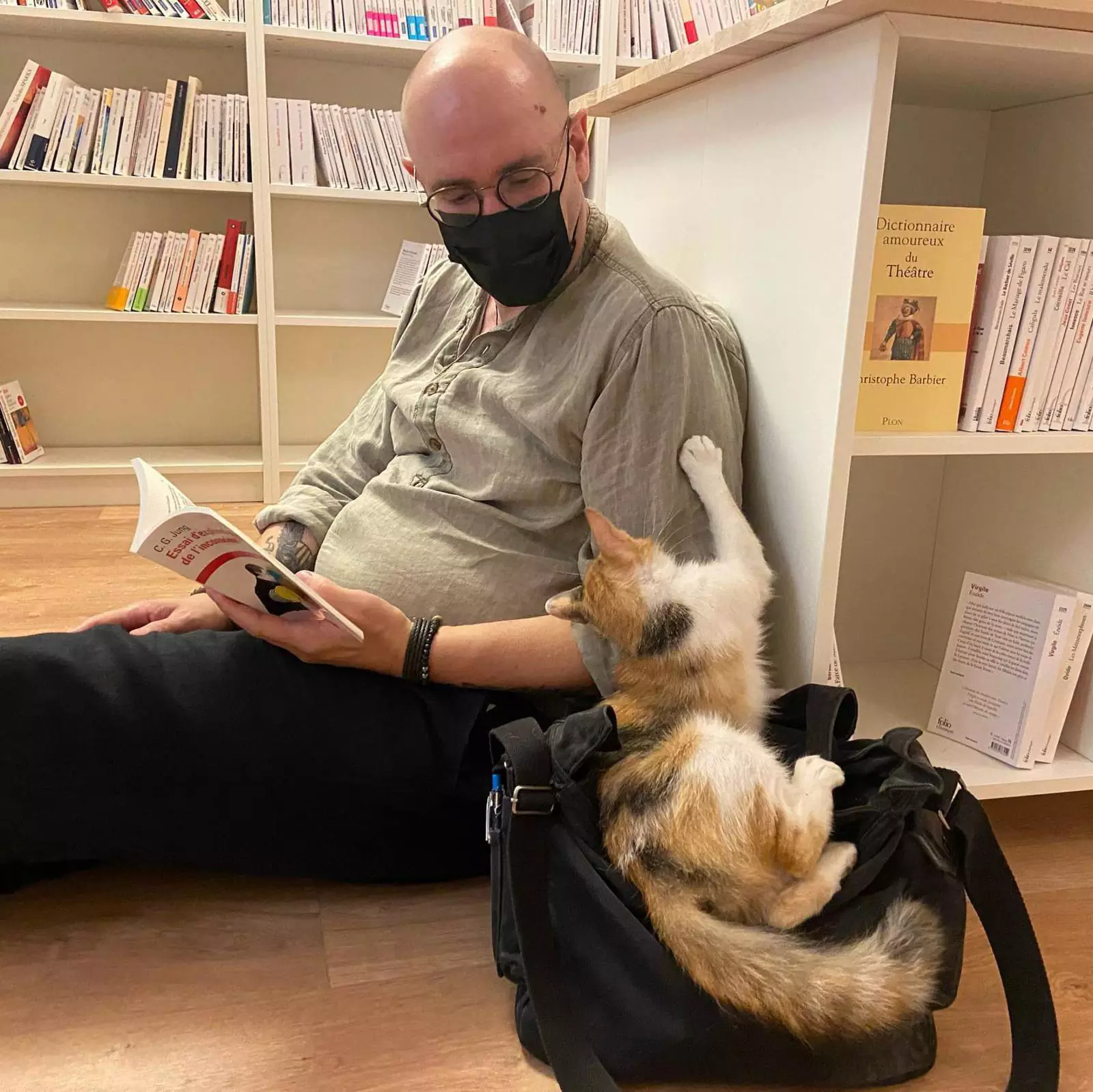 Живущие в книжном котейки очень любят общаться с покупателями. Живущие в книжном котейки очень любят общаться с покупателями.