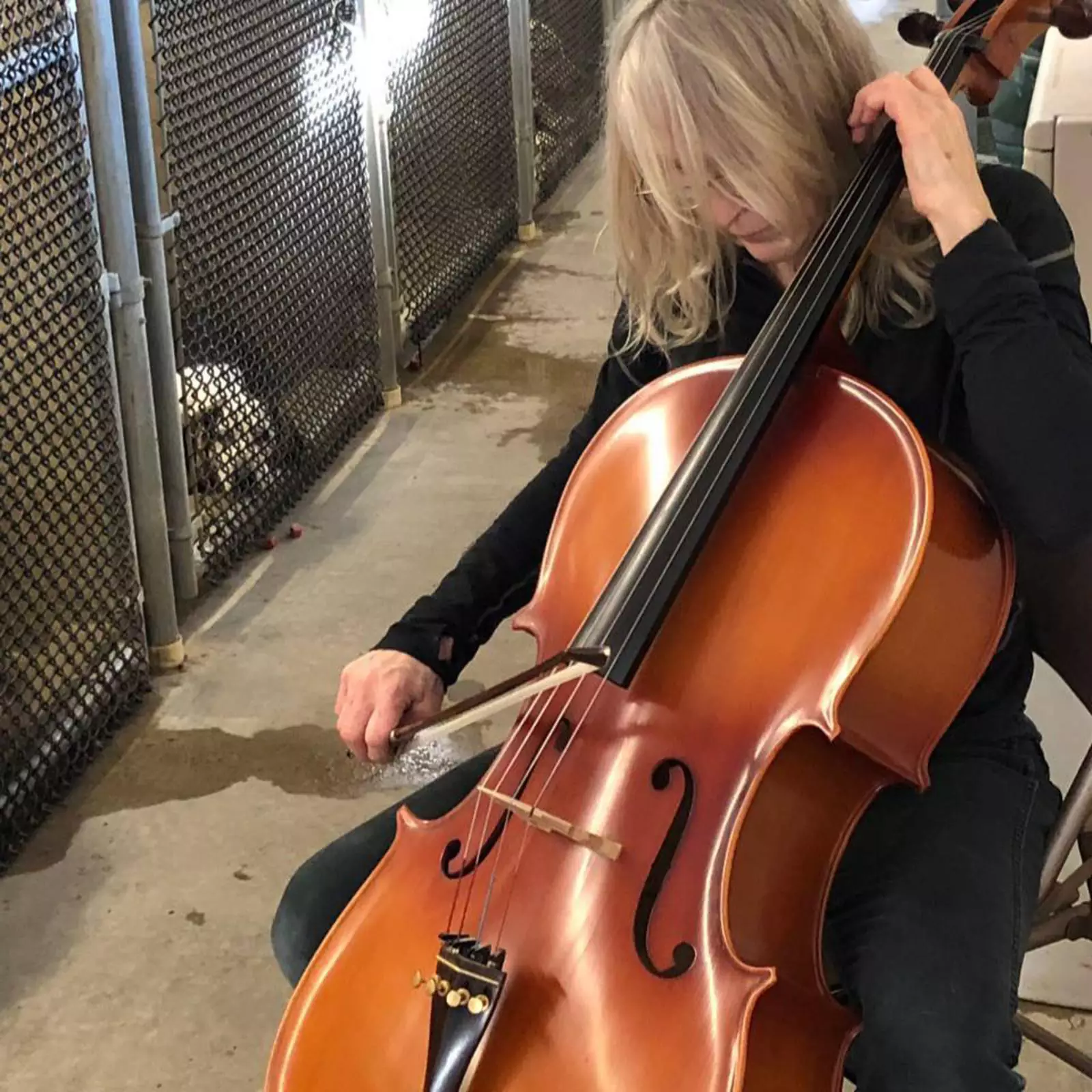 Шерил Уоллес. Шерил Уоллес.