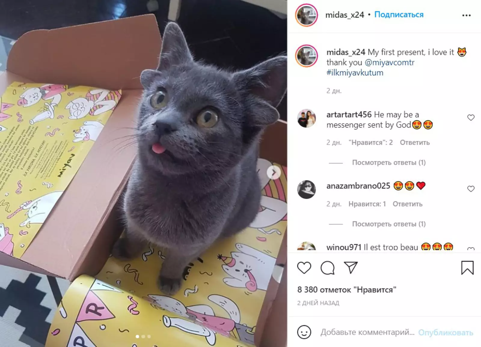 Мидас получила свой первый подарок. Мидас получила свой первый подарок.