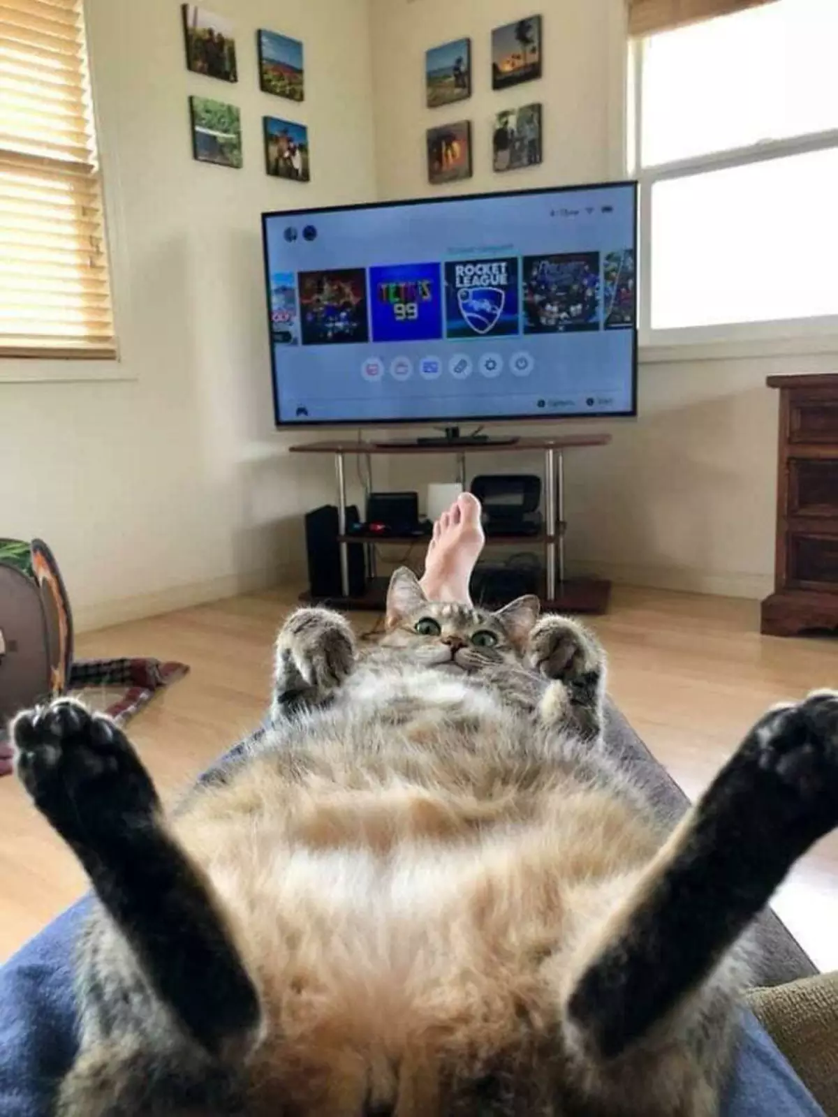 «Любовь всей моей жизни». «Любовь всей моей жизни».