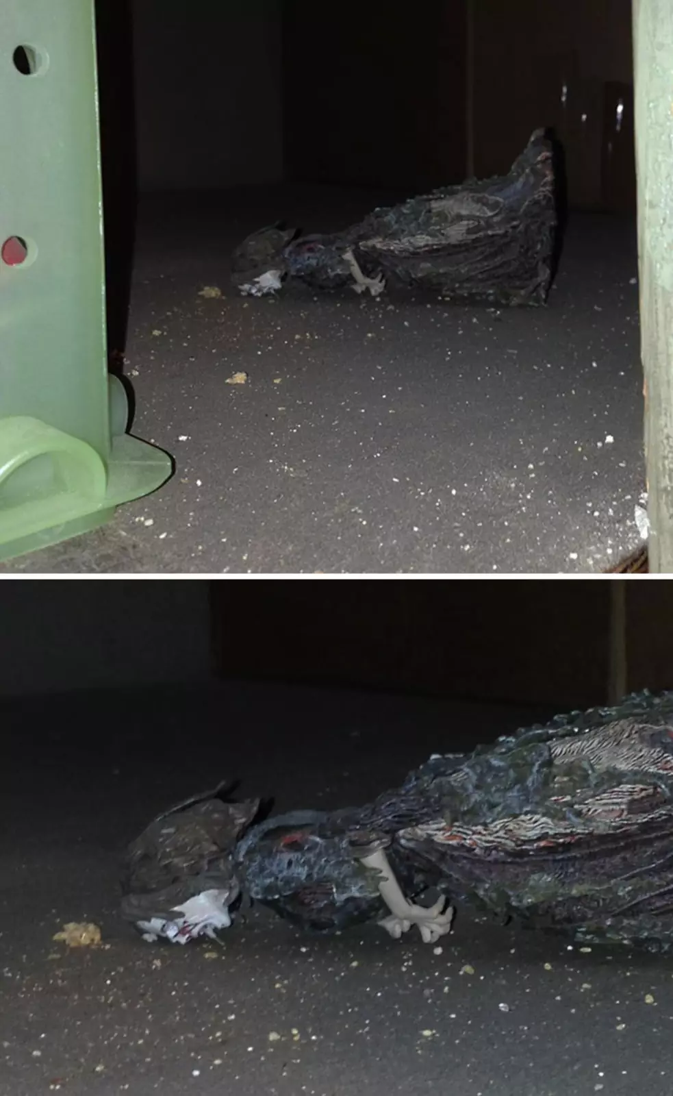 «Недавно переехал в новую квартиру. Этим утром я открыл шкаф, чтобы убрать вещи, и нашел ее». «Недавно переехал в новую квартиру. Этим утром я открыл шкаф, чтобы убрать вещи, и нашел ее».