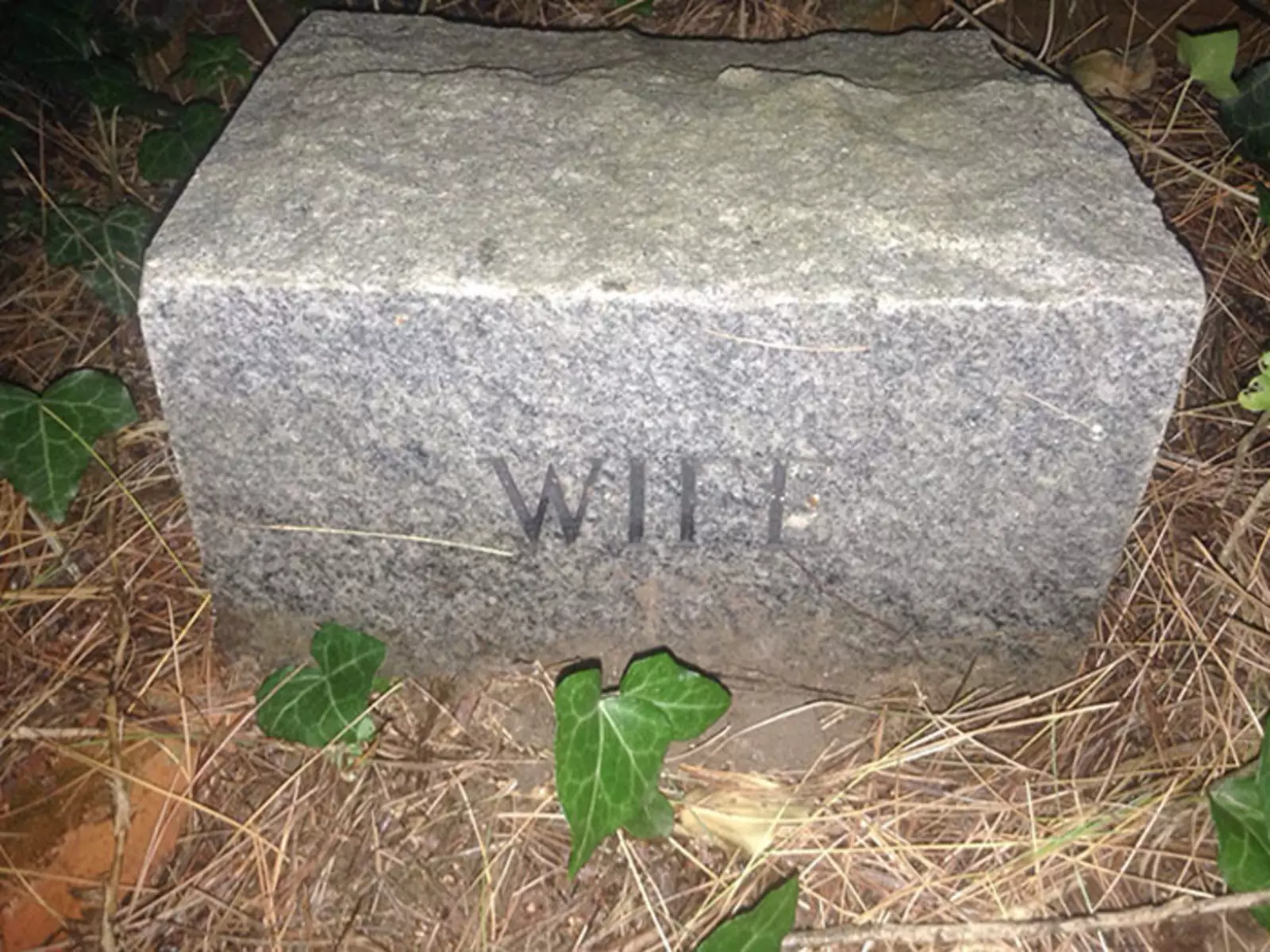 «Кто-нибудь может объяснить мне, почему это на моем заднем дворе?» «Кто-нибудь может объяснить мне, почему это на моем заднем дворе?»