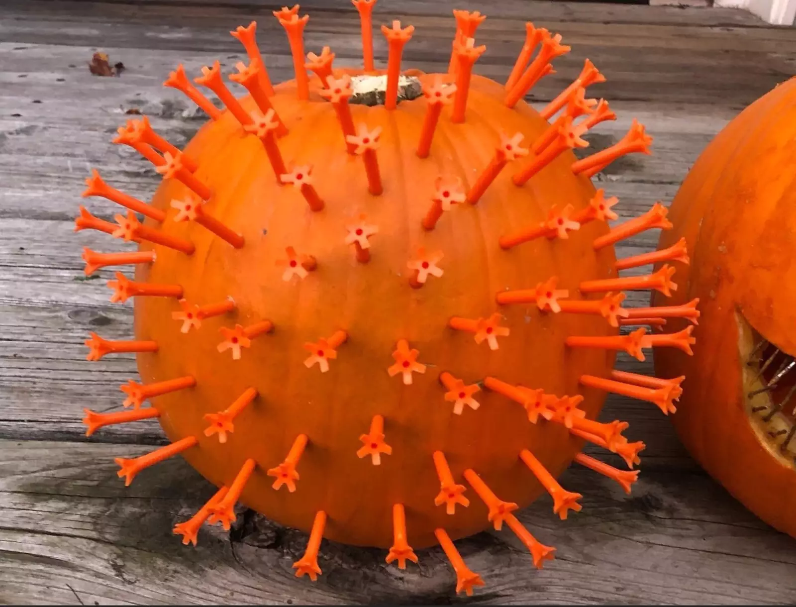 Какой год, такой и Хэллоуин Какой год, такой и Хэллоуин