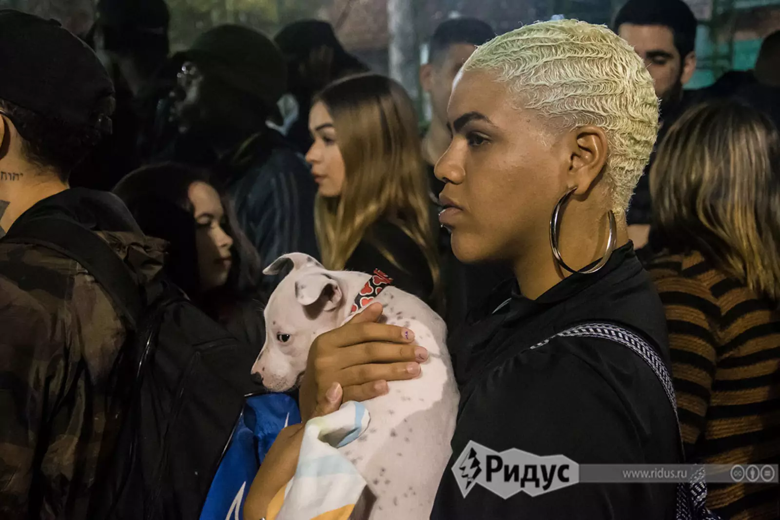 Девушка с собакой Девушка с собакой