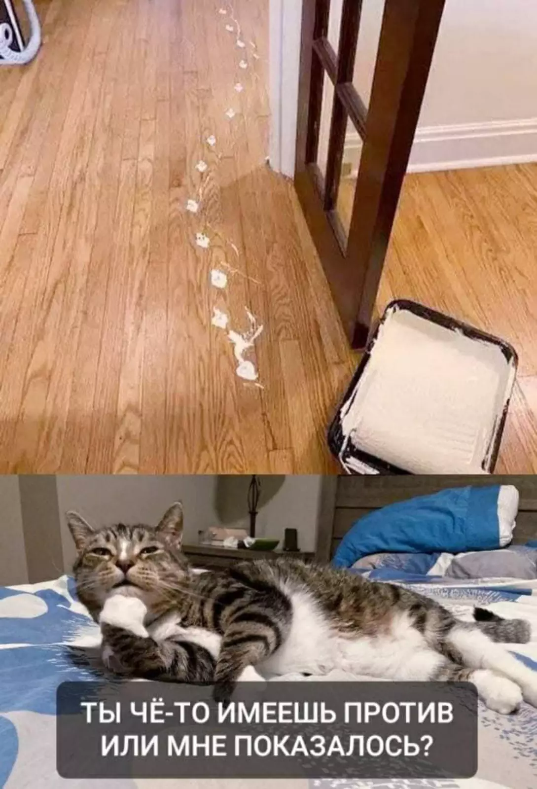 Ремонт с животными - то ещё удовольствие. Ремонт с животными - то ещё удовольствие.