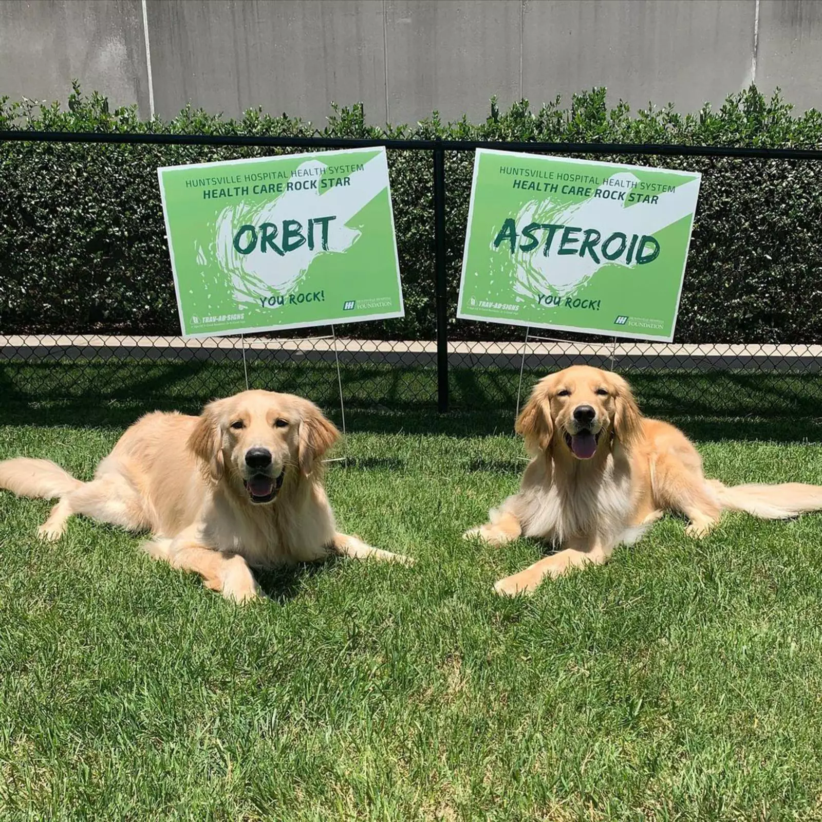 Орбит и Астероид. Орбит и Астероид.