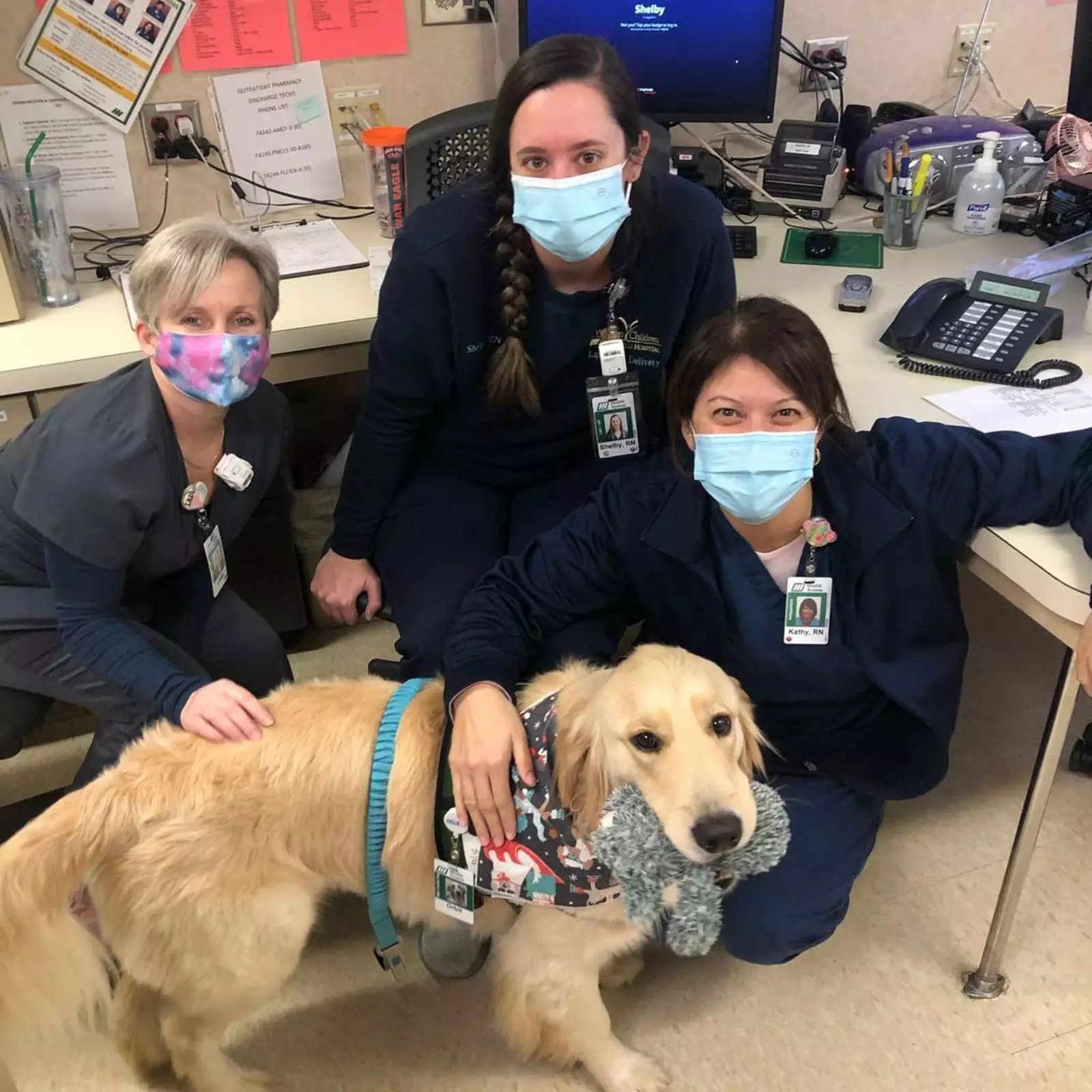 Сотрудники больниц тоже обожают общаться с ретриверами. Сотрудники больниц тоже обожают общаться с ретриверами.