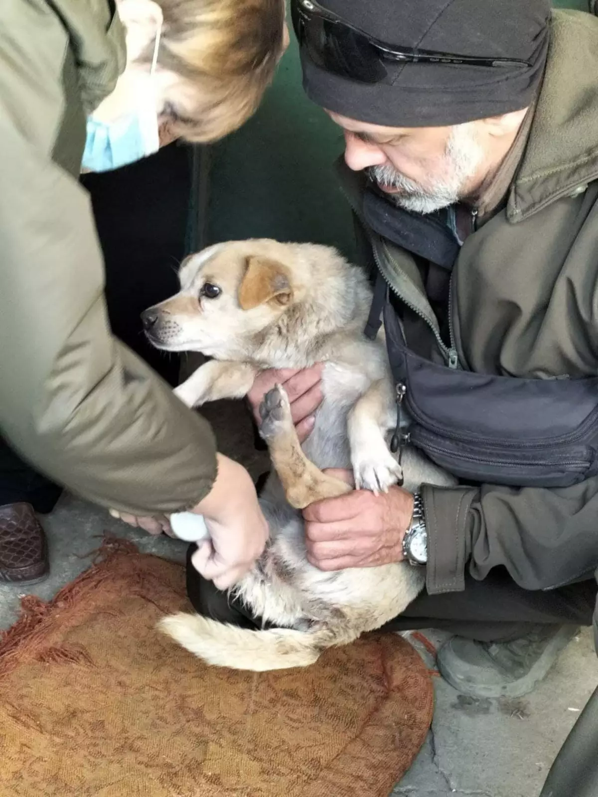 Аня и Андрей оказывают медпомощь пострадавшей собачке Тобику из Новой Марьевки