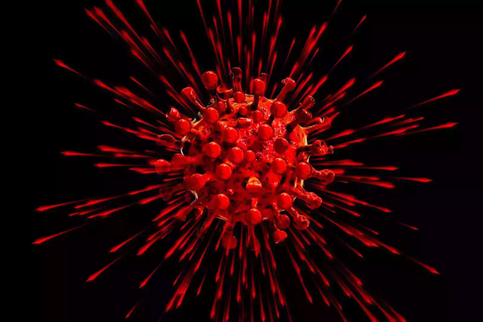 Коронавирус © pixabay.com Коронавирус © pixabay.com