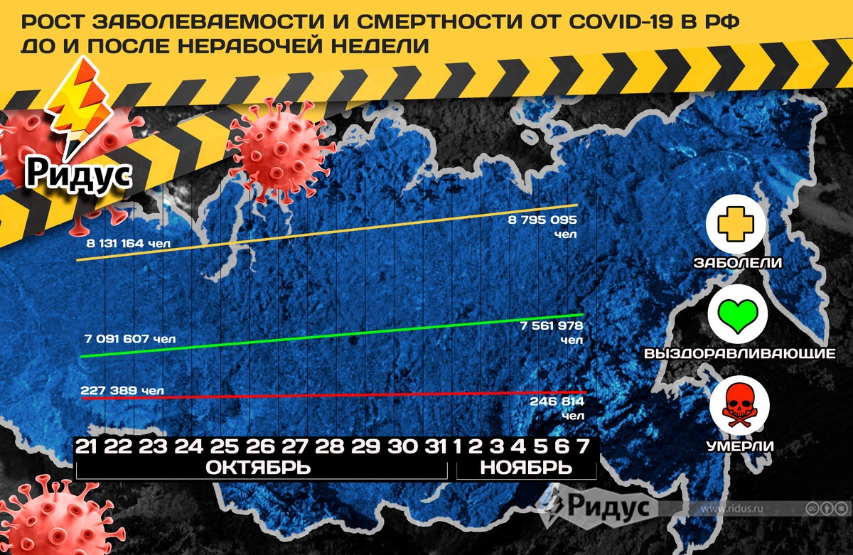 &copy; Михаил Салтыков / «Ридус». По данным «стопкоронавирус.рф»