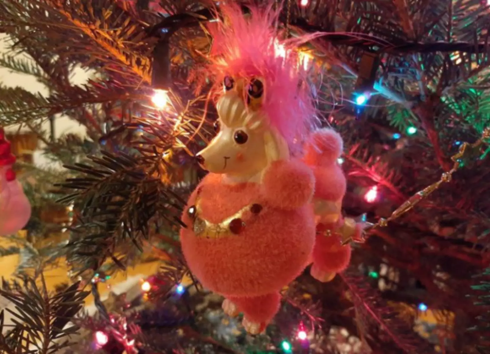 Какой милый и странный пудель. Какой милый и странный пудель.