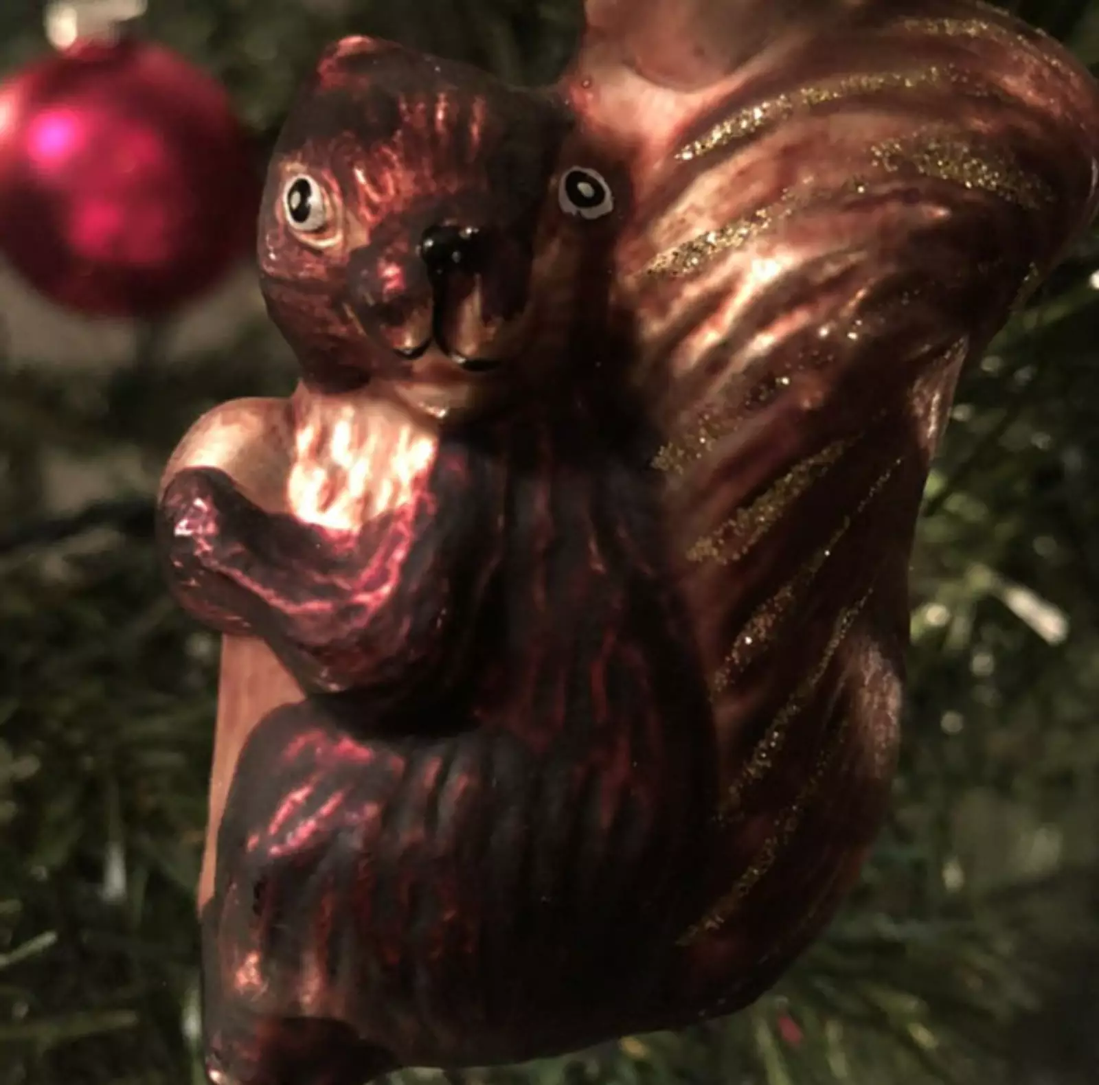 Упоротая белка из коллекции моей сестры. Упоротая белка из коллекции моей сестры.