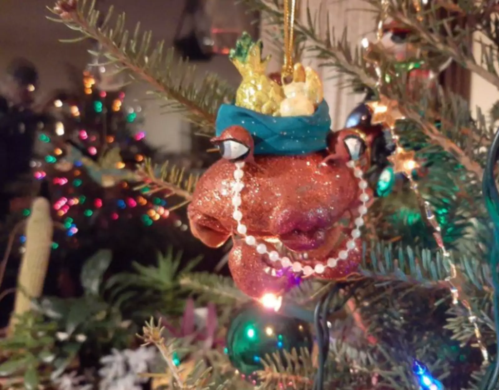 Это рак с фруктовой тарелкой на голове, ничего особенного. Это рак с фруктовой тарелкой на голове, ничего особенного.