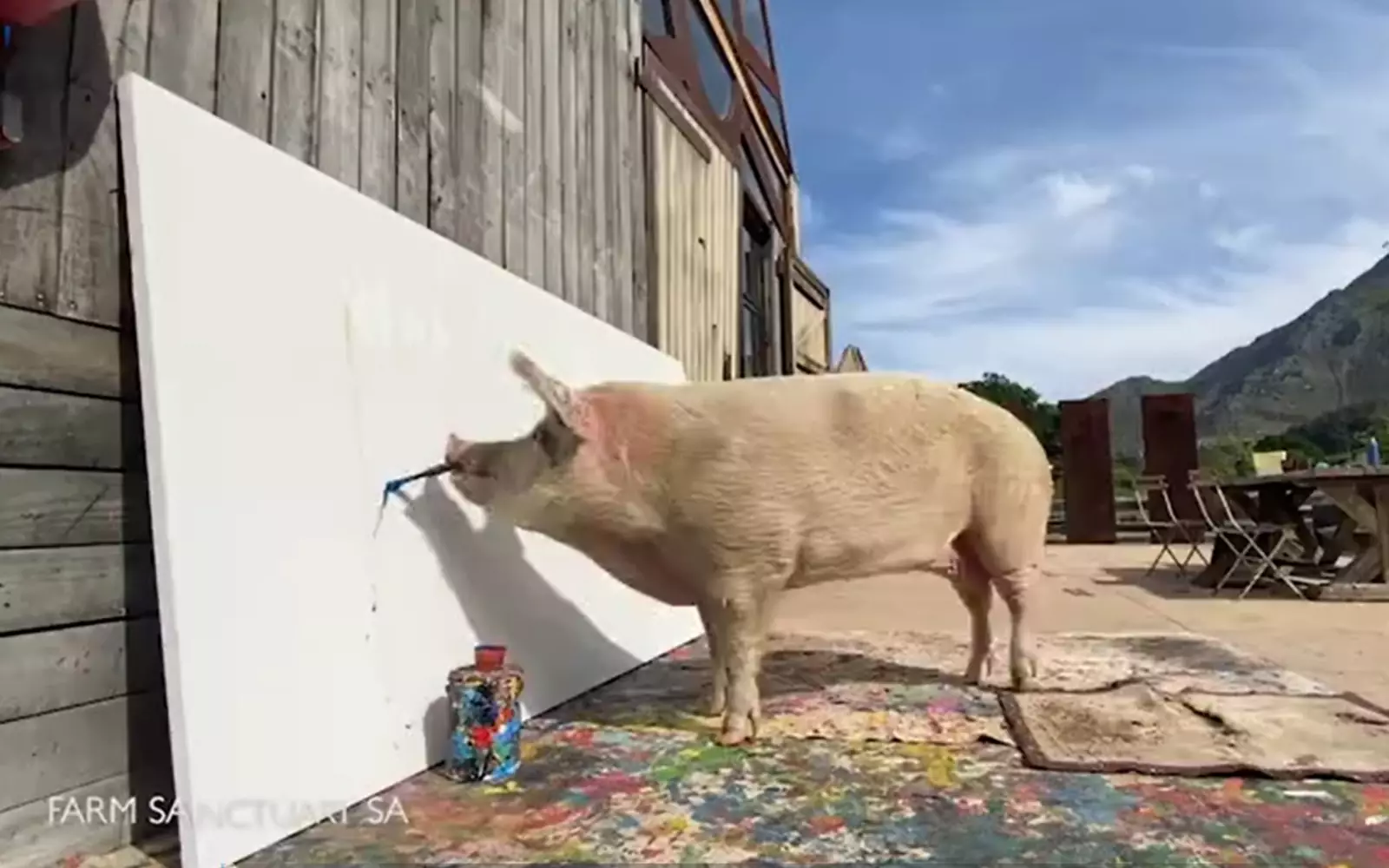 Начало создания шедевра. Начало создания шедевра.