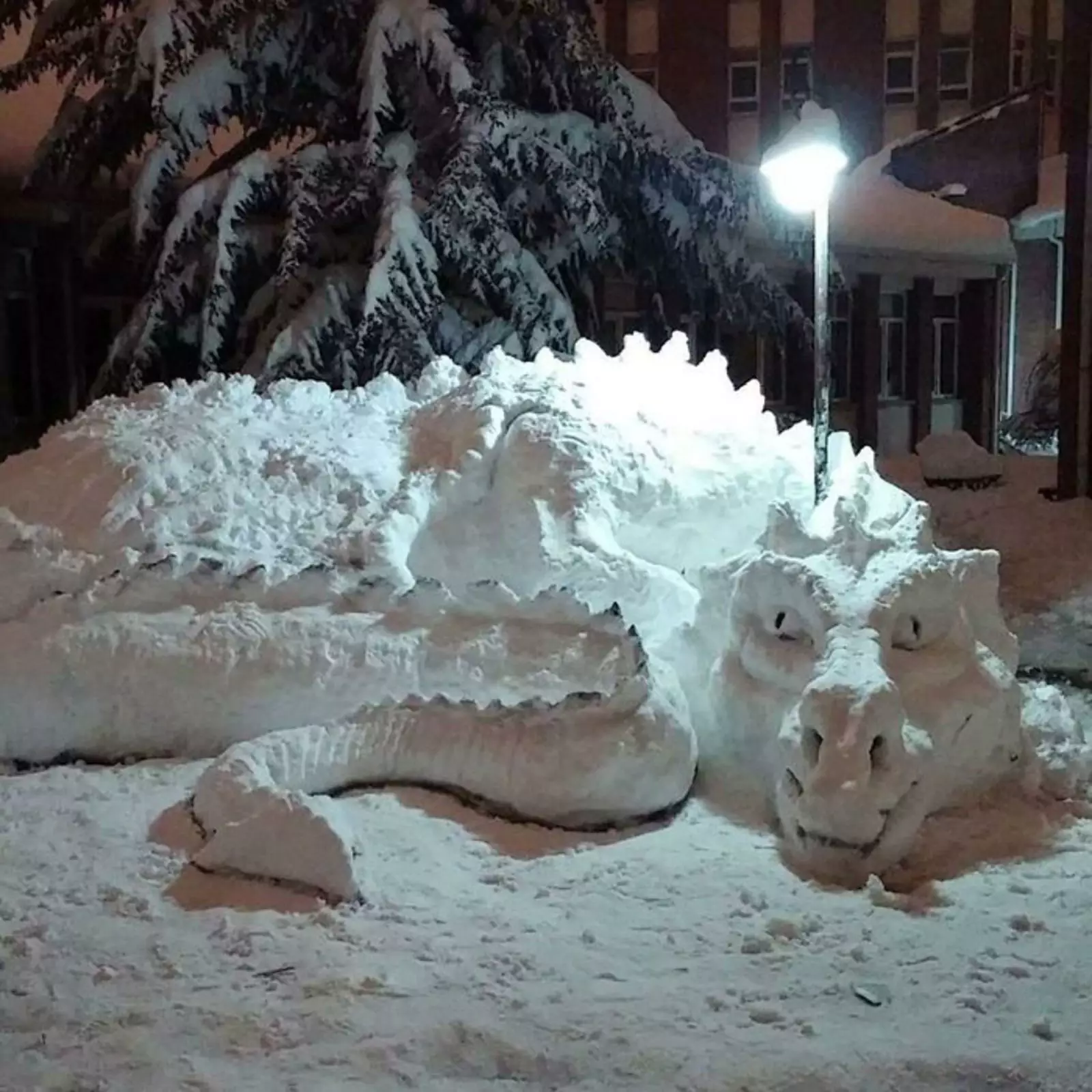 Великолепный снежный дракон.