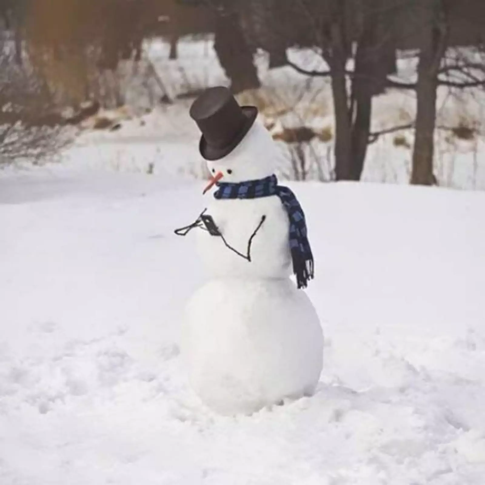 Снеговик с айфоном.
