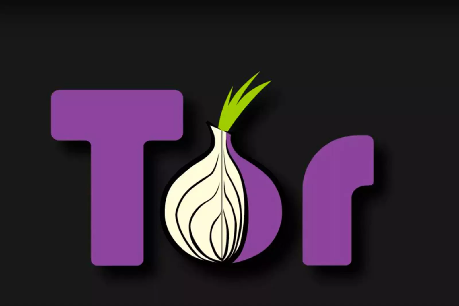Tor browser twitter mega прокси браузер тор скачать megaruzxpnew4af
