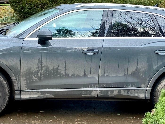  Выглядит не хуже картин Боба Росса