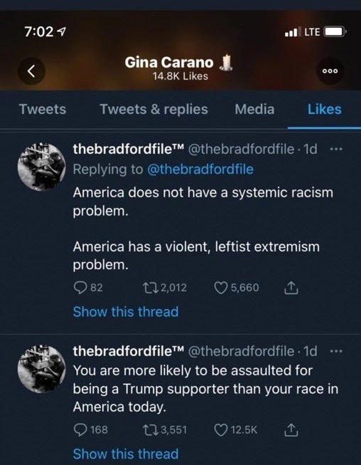 У Америки нет проблем с системным расизмом, но есть серьезные проблемы с левым экстремизмом. На вас скорее нападут за то, что вы голосовали за Трампа, чем за цвет кожи.